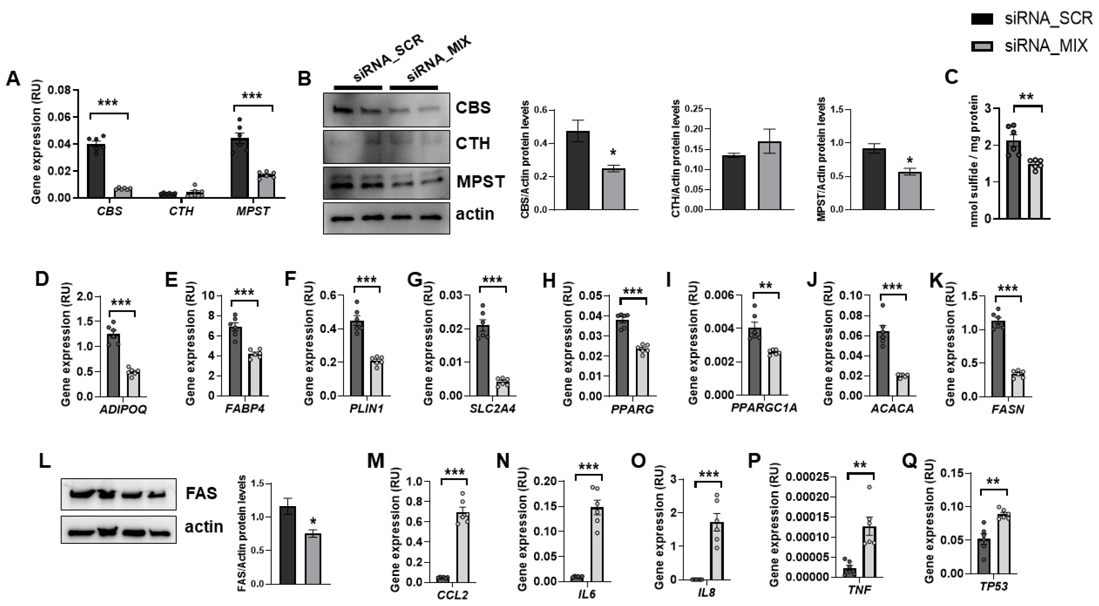 Antioxidants 11 01095 g001