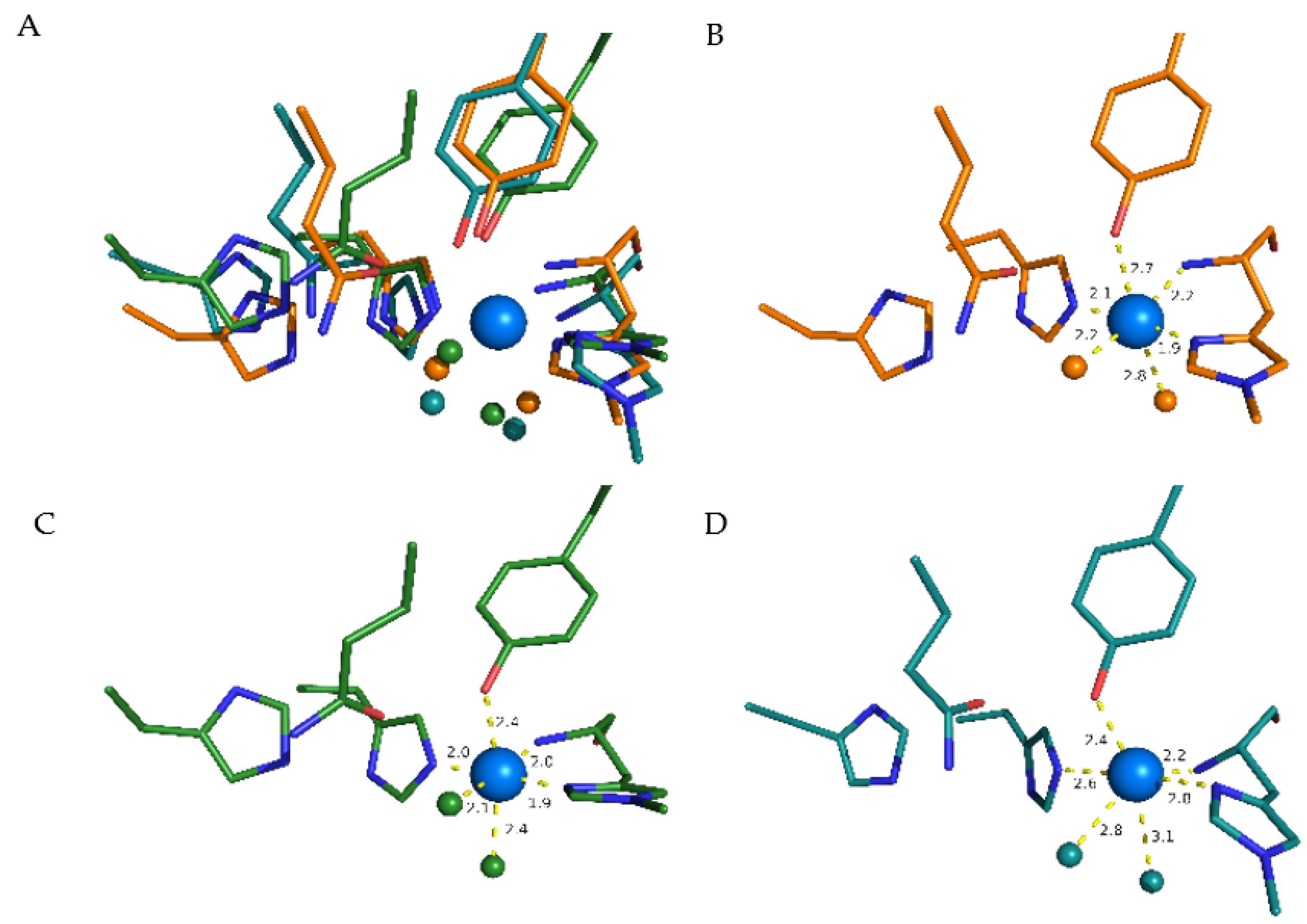 Antioxidants 11 01096 g005