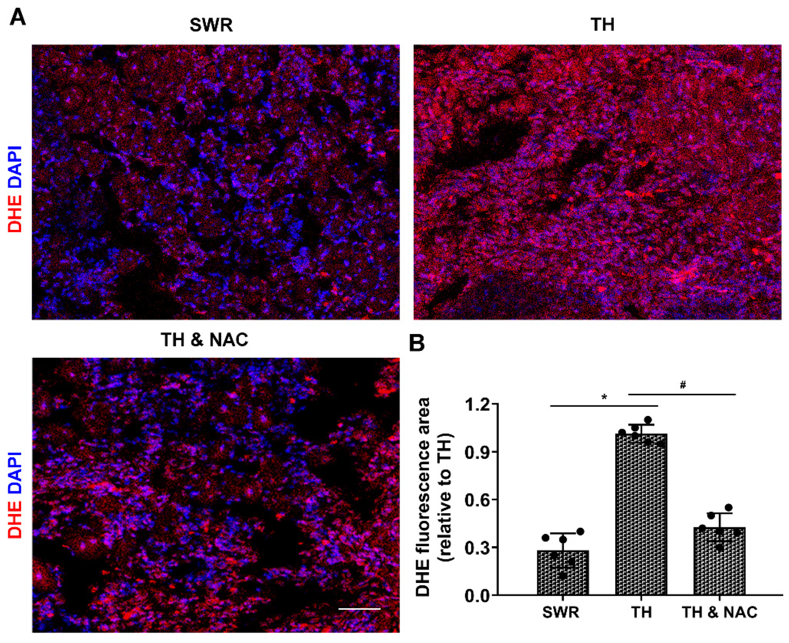Antioxidants 11 01097 g005