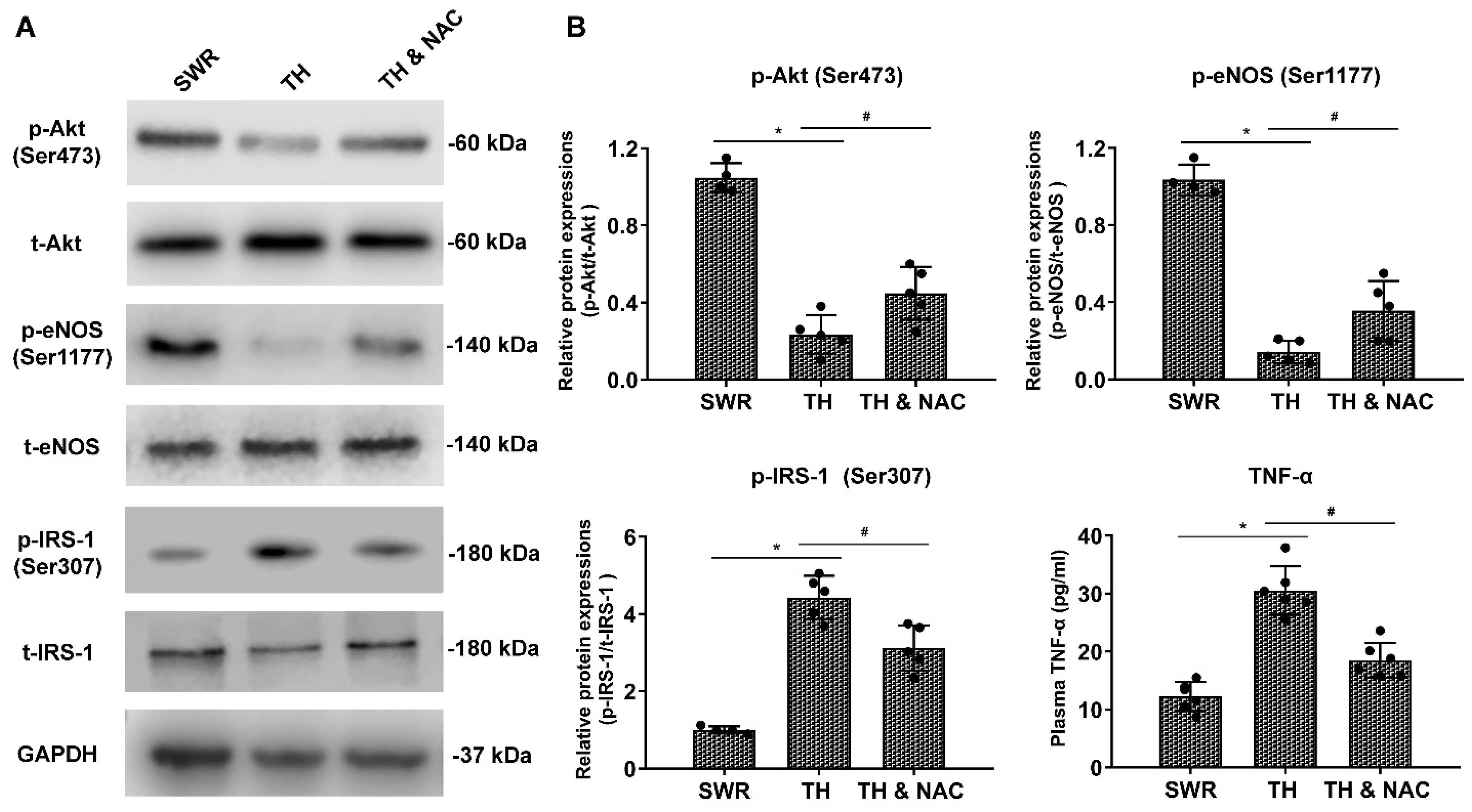 Antioxidants 11 01097 g007