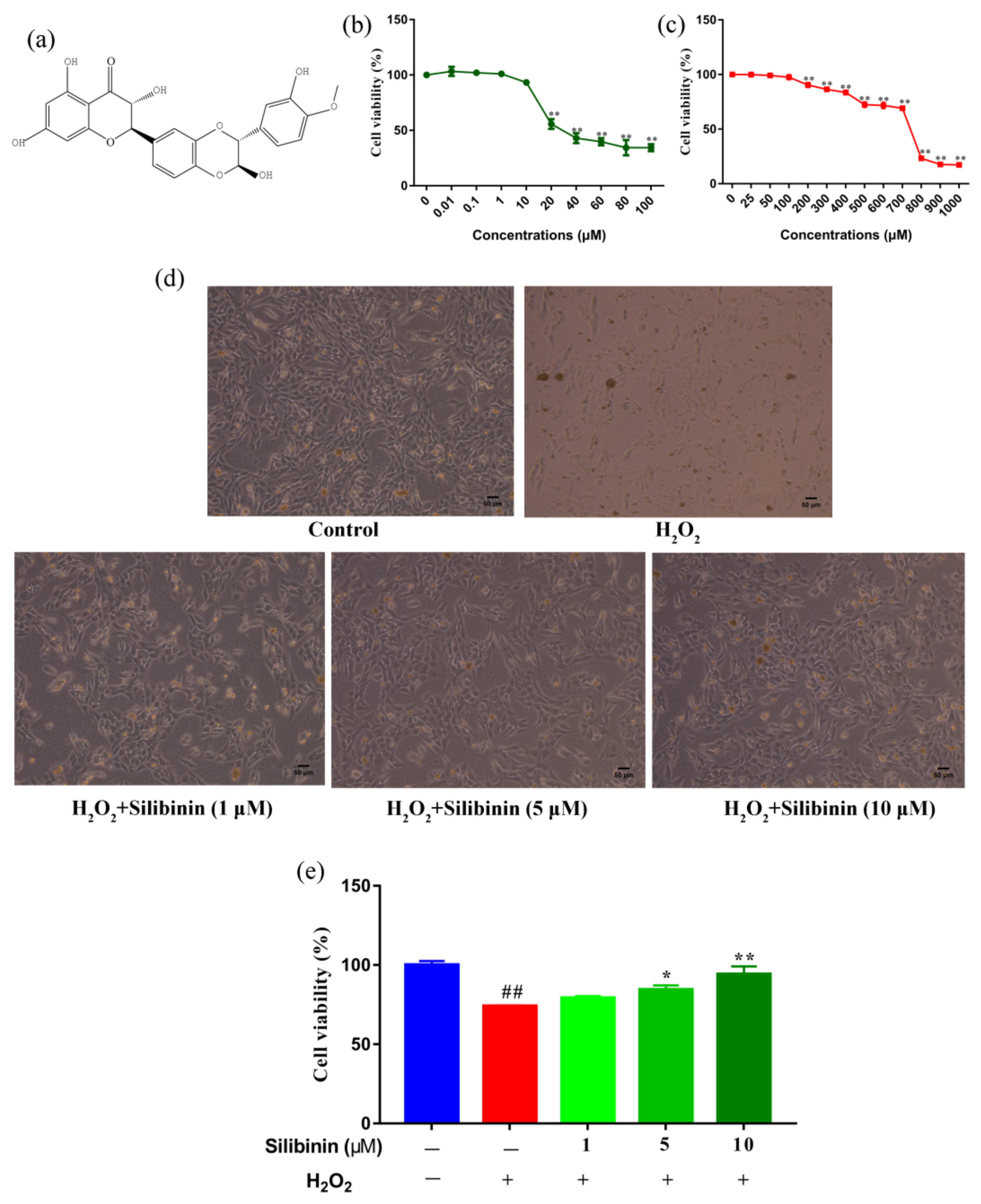 Antioxidants 11 01101 g001