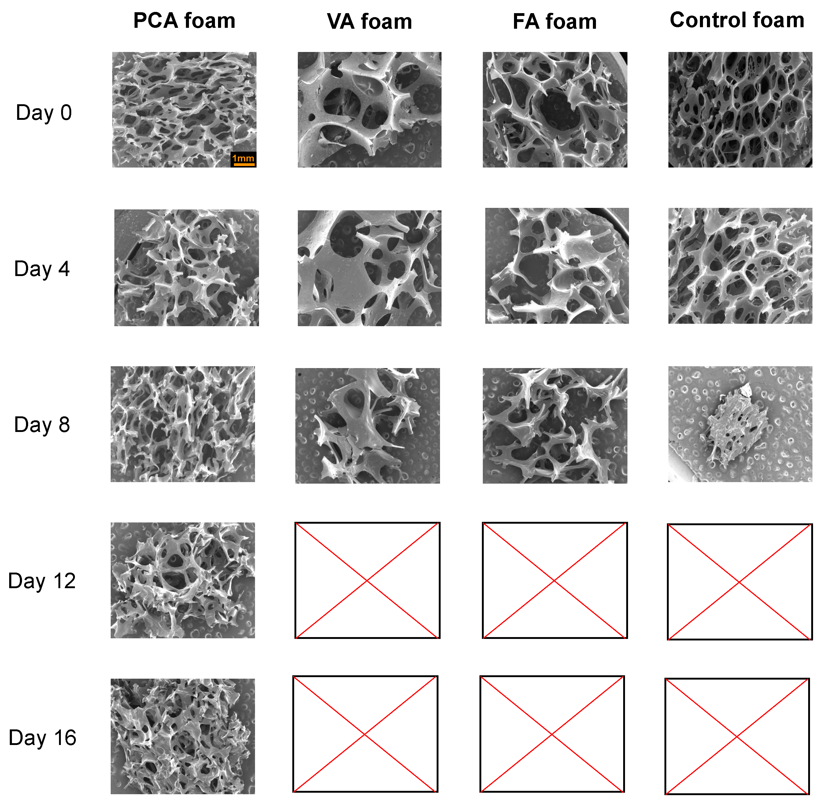 Antioxidants 11 01105 g002 Antioxidants 11 01105 g002
