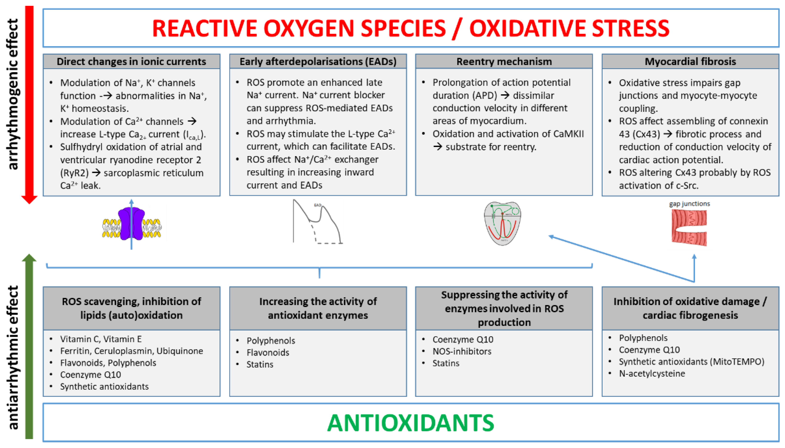 Antioxidants 11 01109 g001