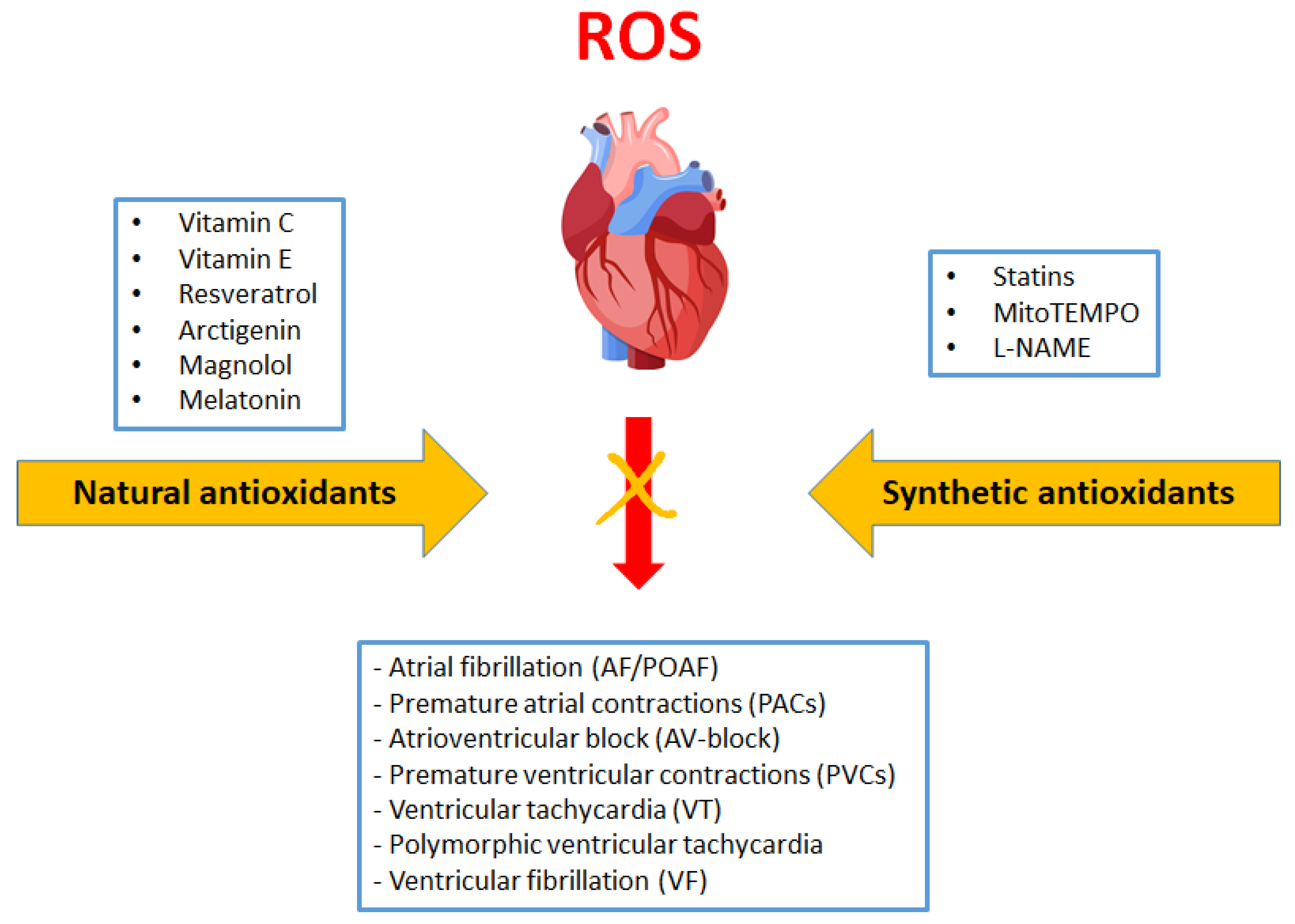 Antioxidants 11 01109 g005