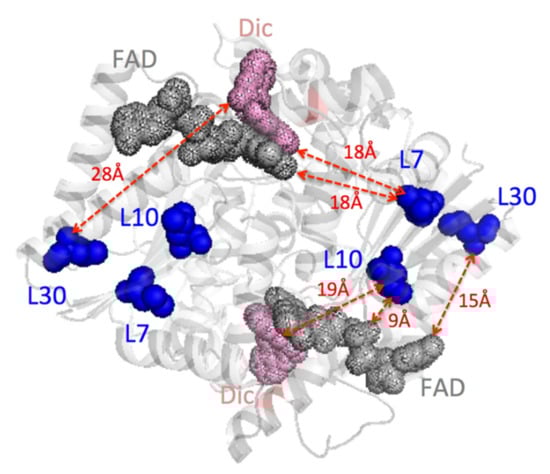 Antioxidants 11 01110 g001 550