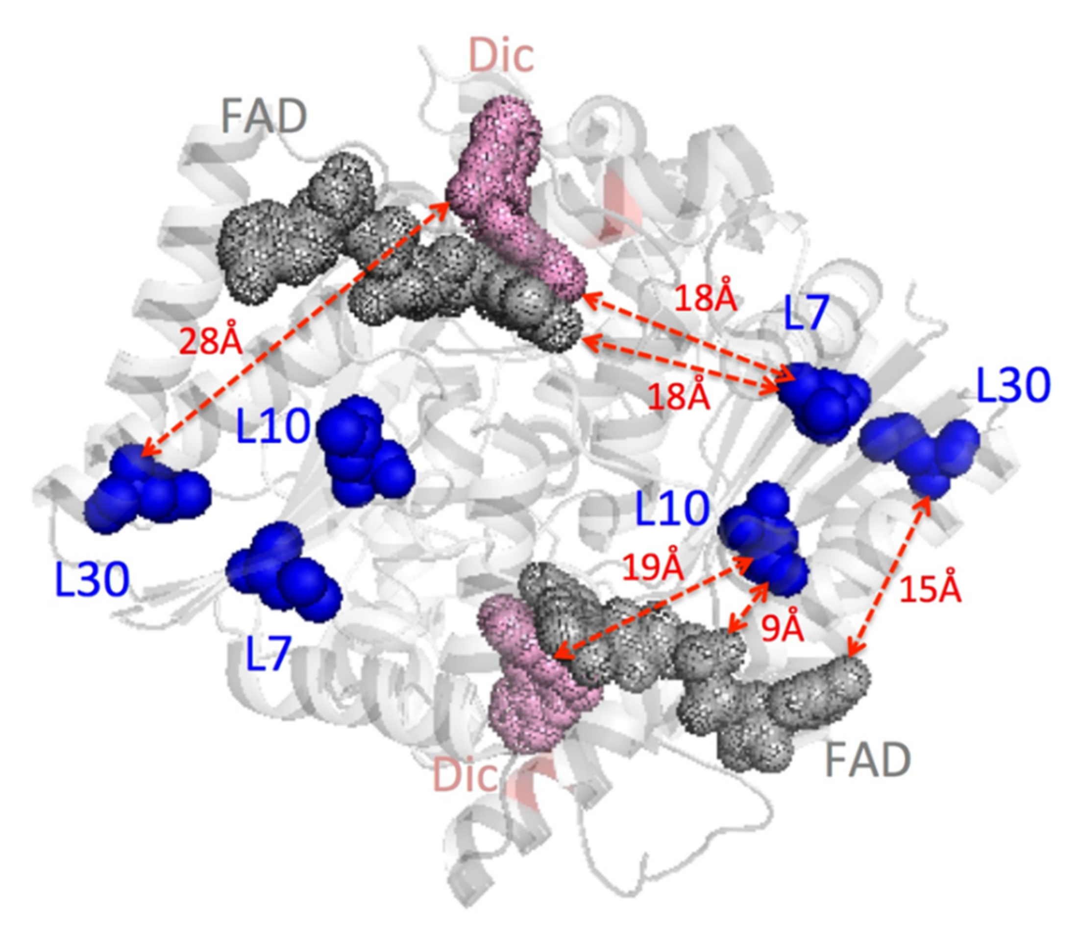 Antioxidants 11 01110 g001