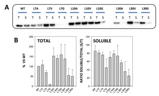 Antioxidants 11 01110 g002 550