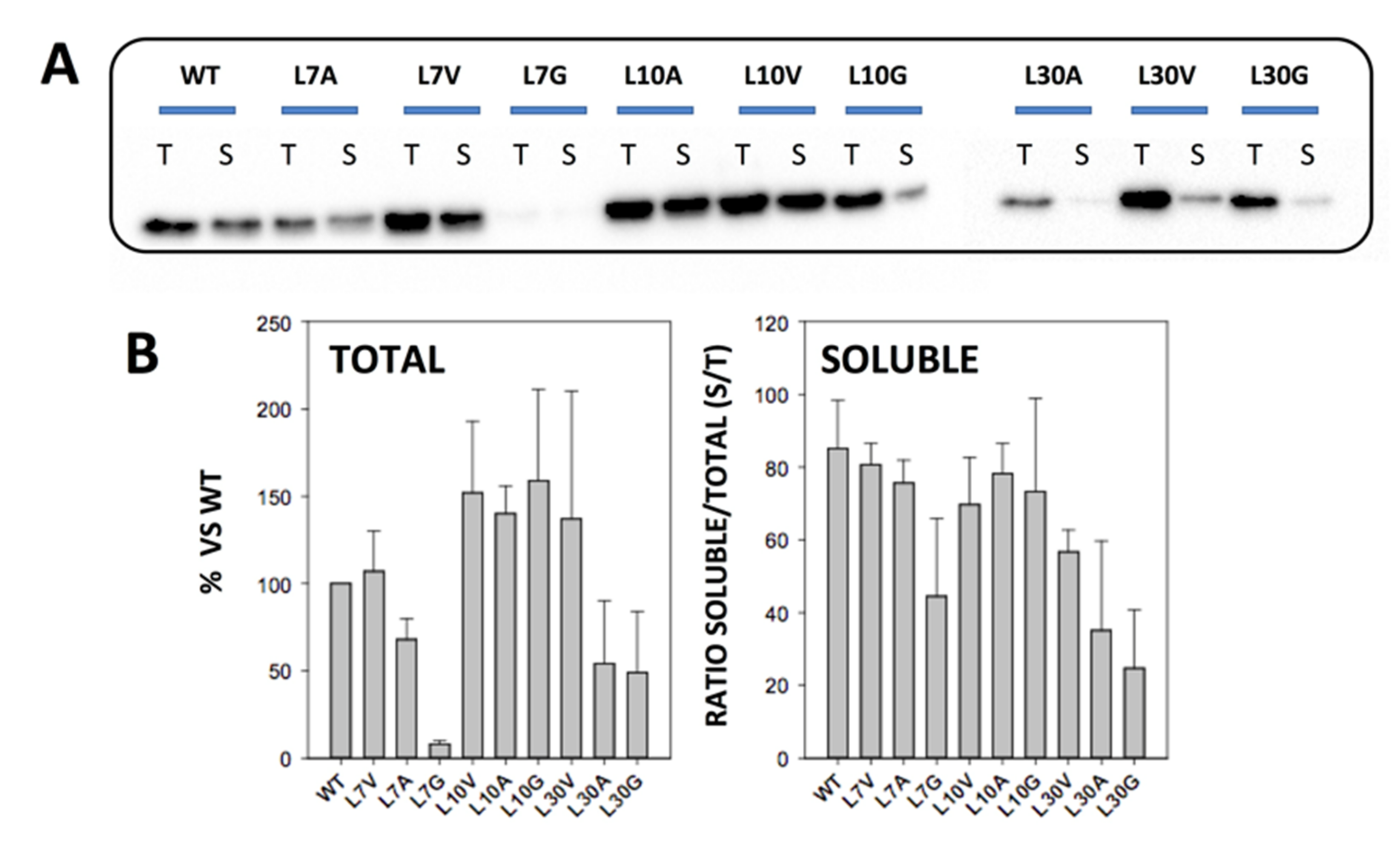 Antioxidants 11 01110 g002