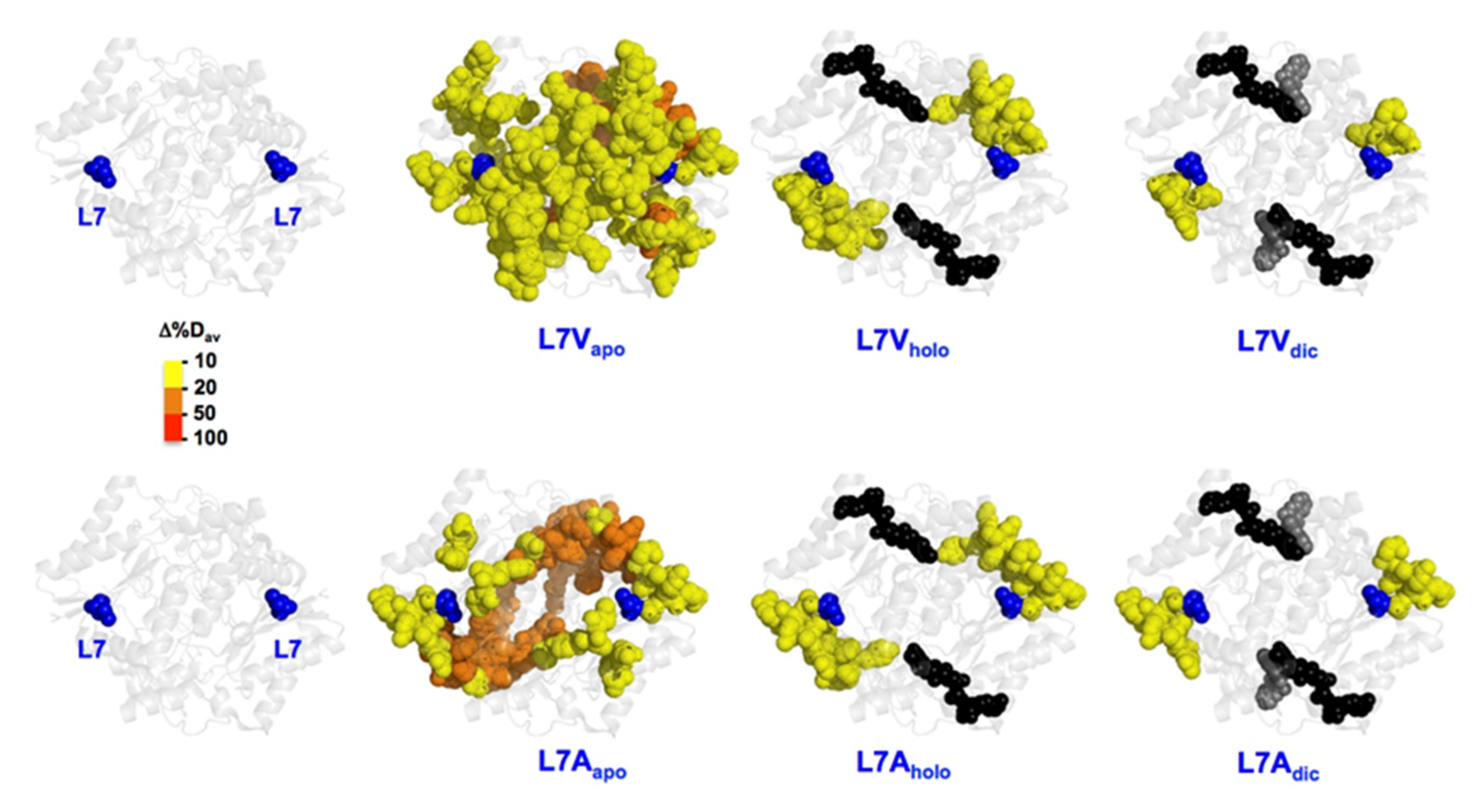 Antioxidants 11 01110 g006
