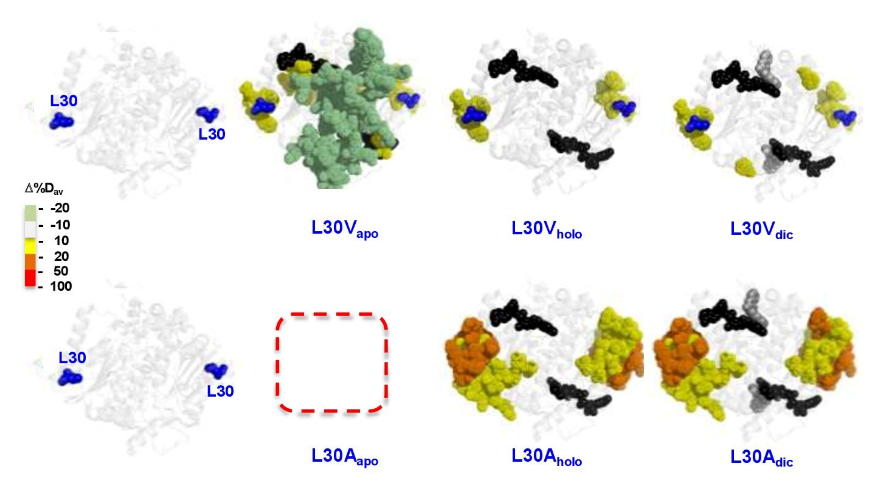 Antioxidants 11 01110 g008