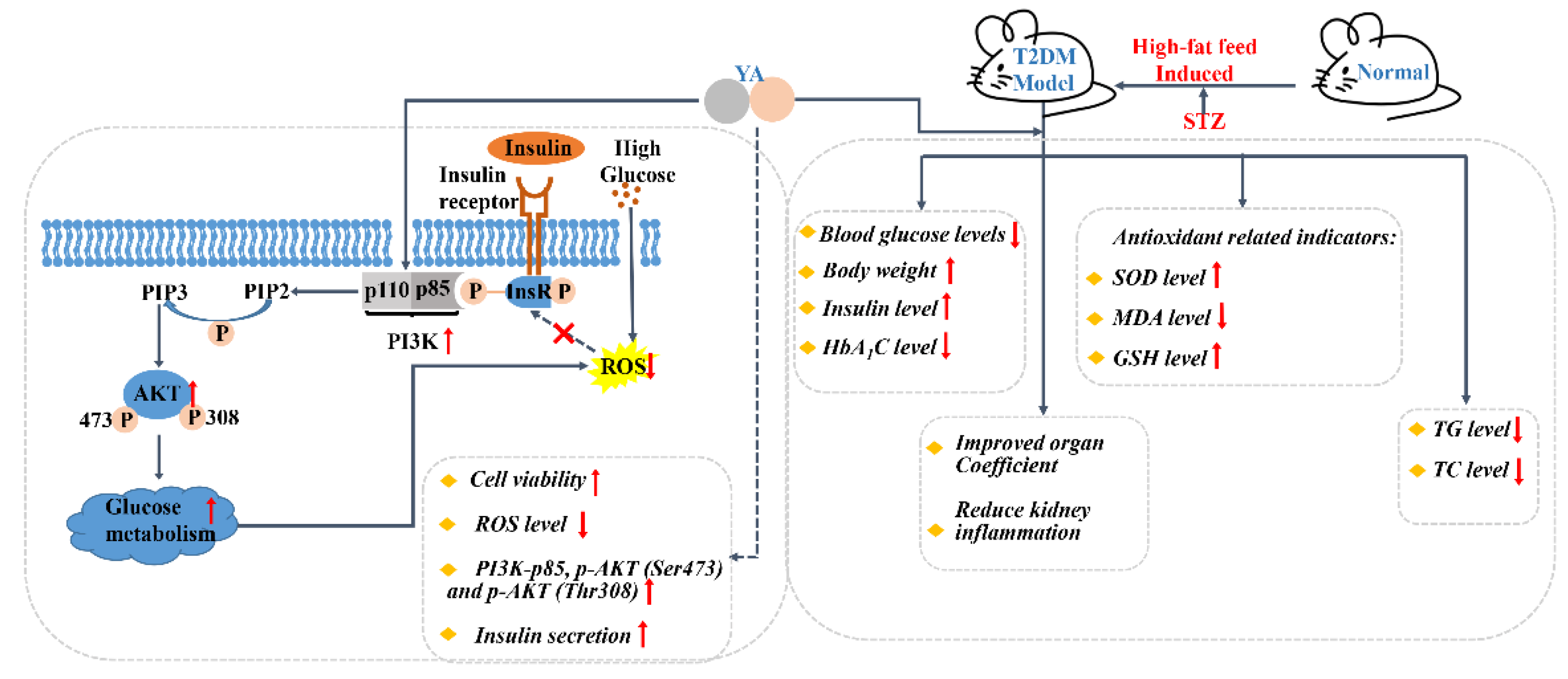 Antioxidants 11 01111 g001