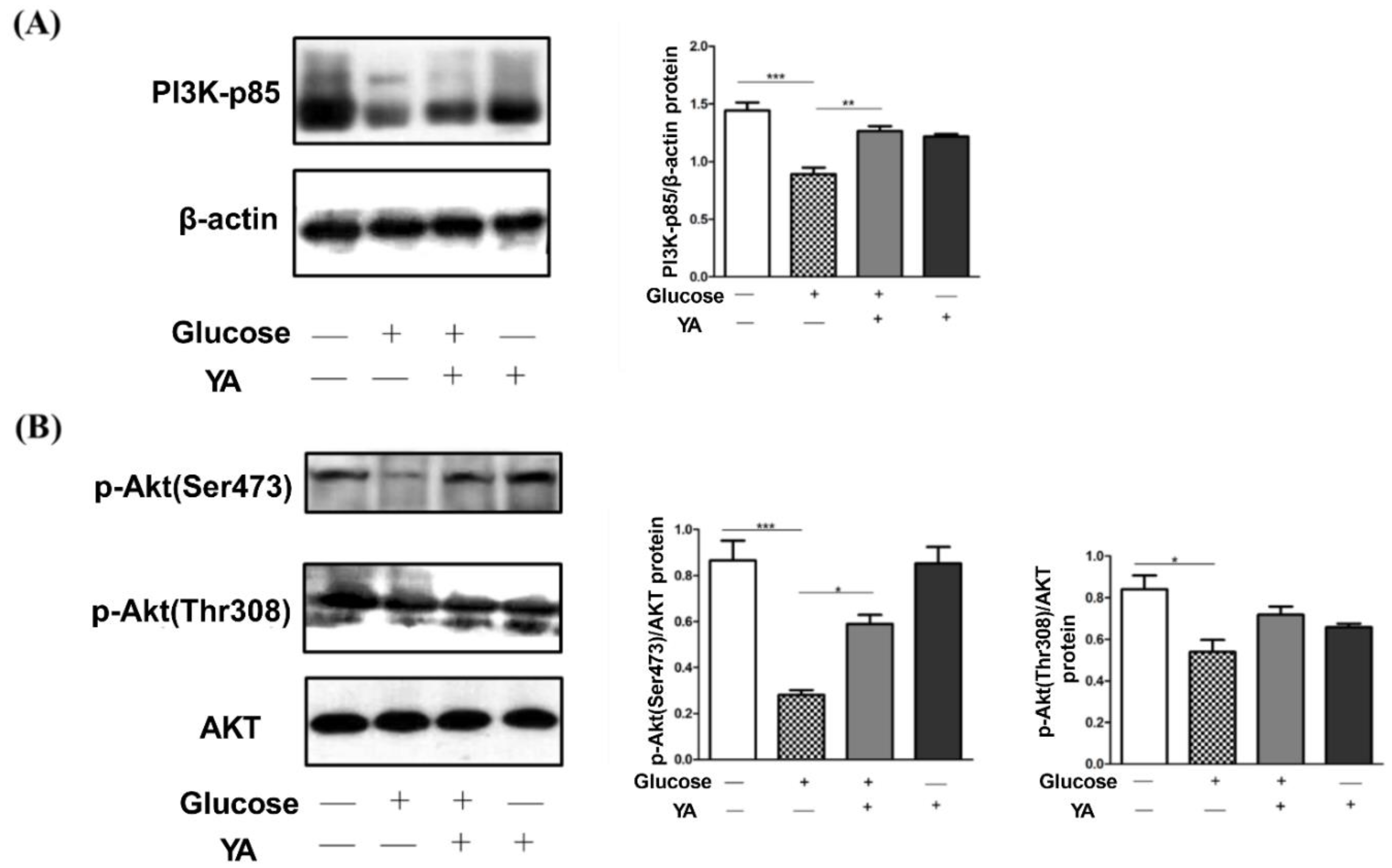Antioxidants 11 01111 g004