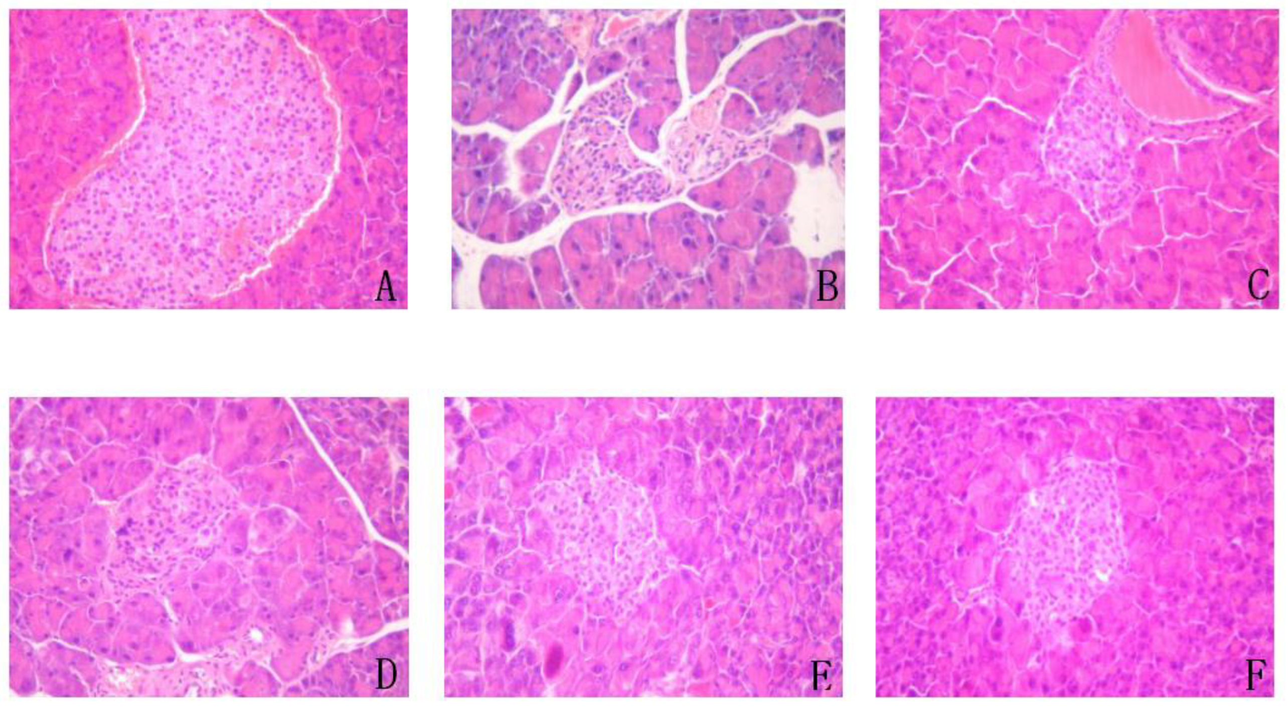 Antioxidants 11 01111 g009