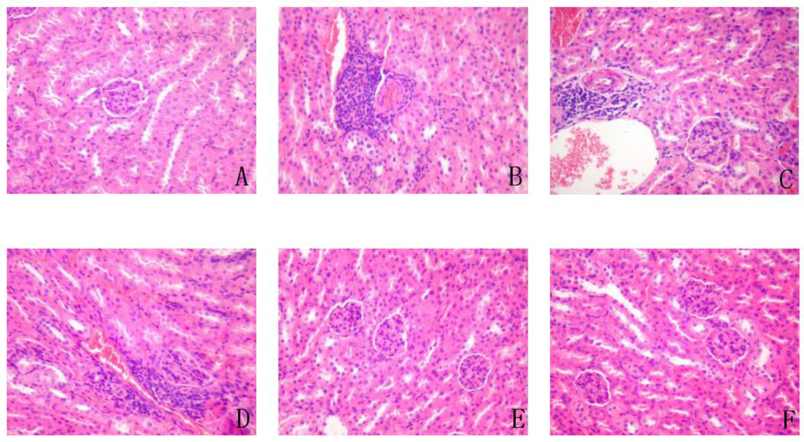Antioxidants 11 01111 g010