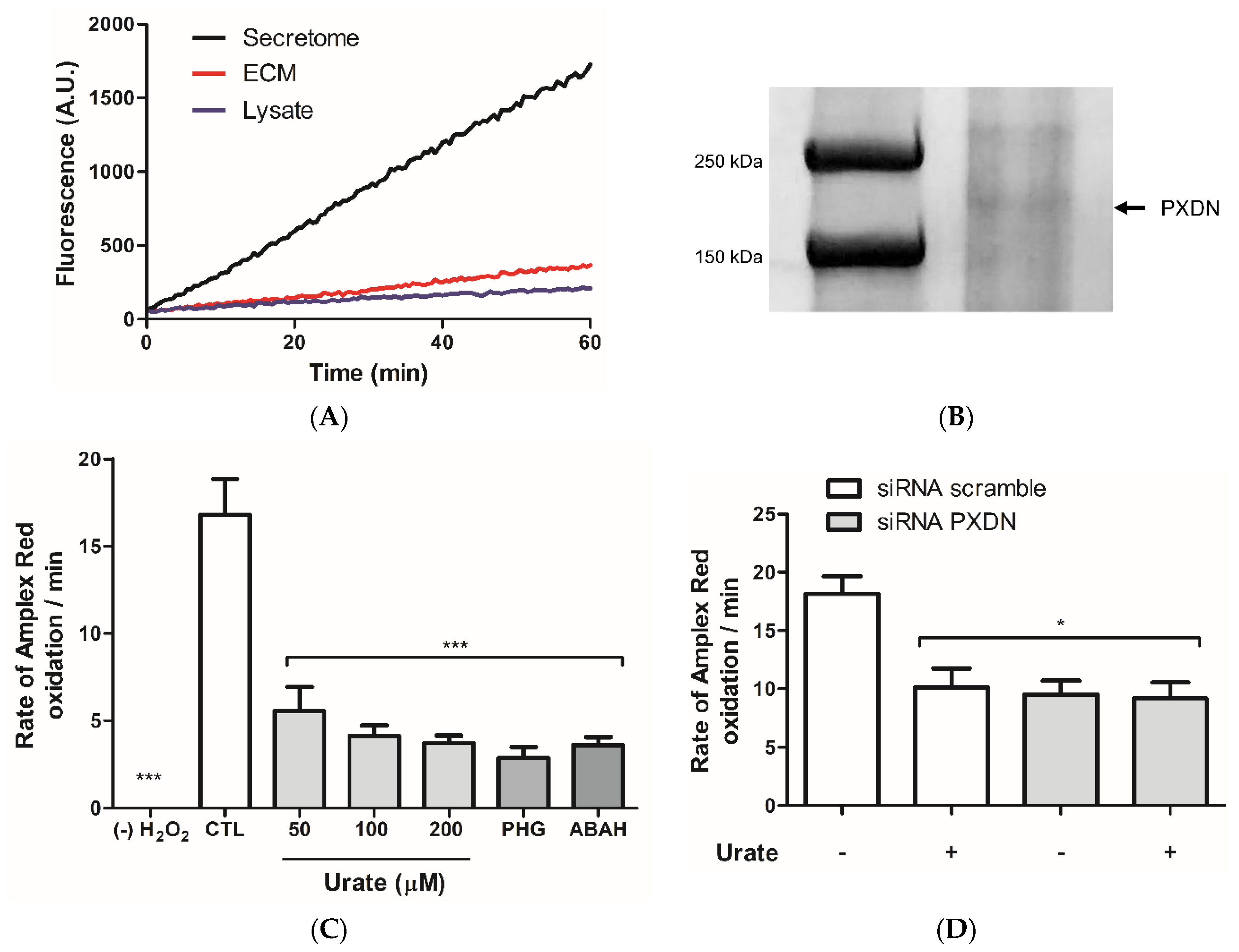 Antioxidants 11 01117 g001