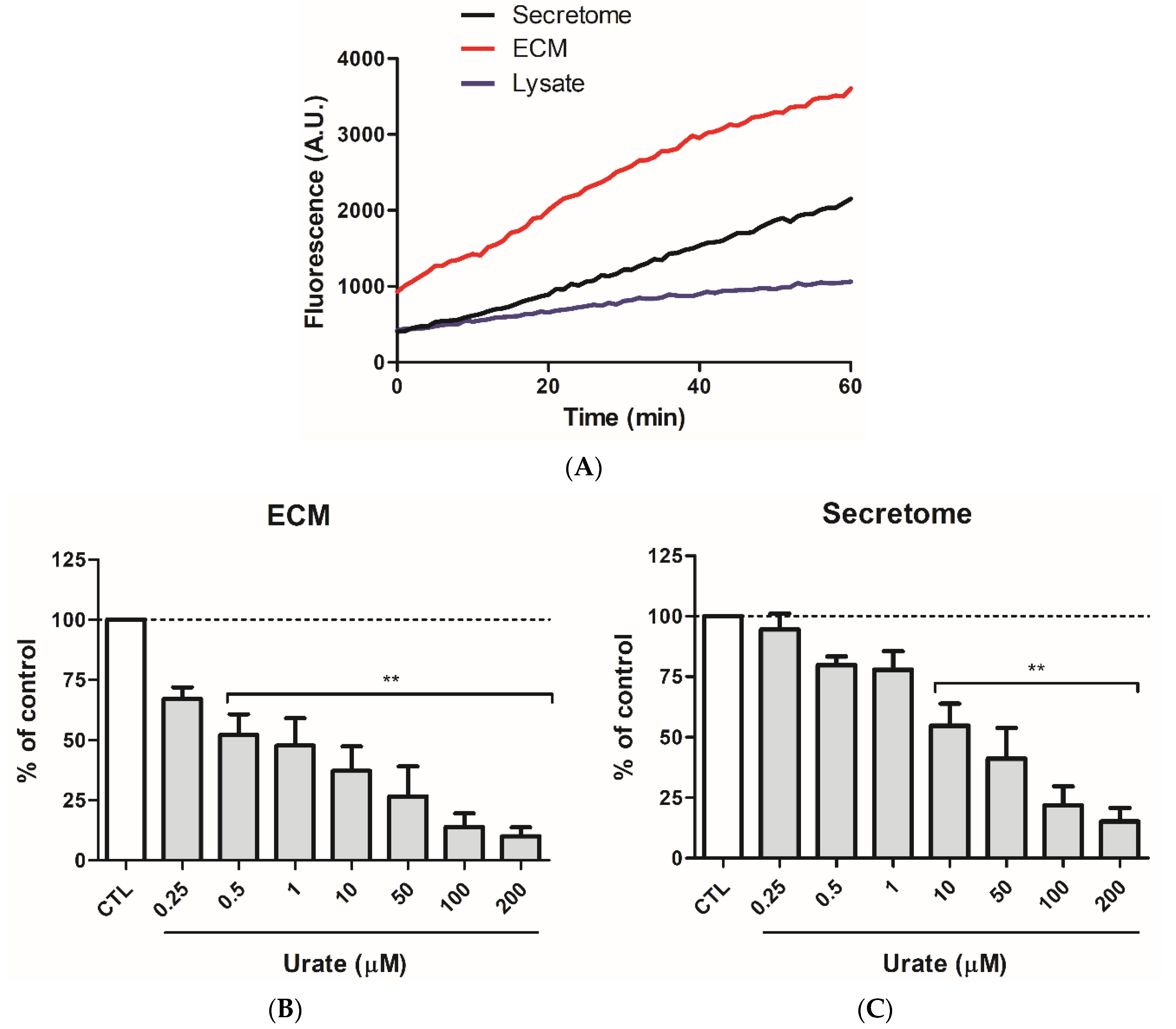 Antioxidants 11 01117 g002