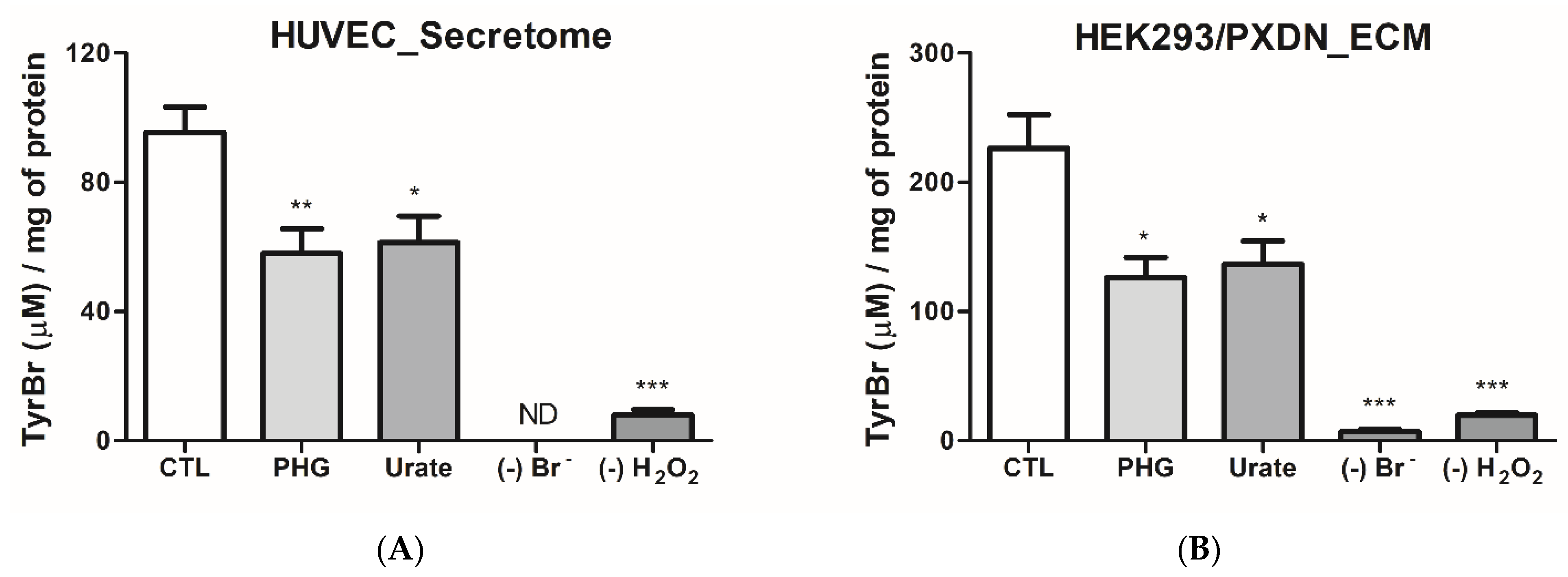 Antioxidants 11 01117 g003