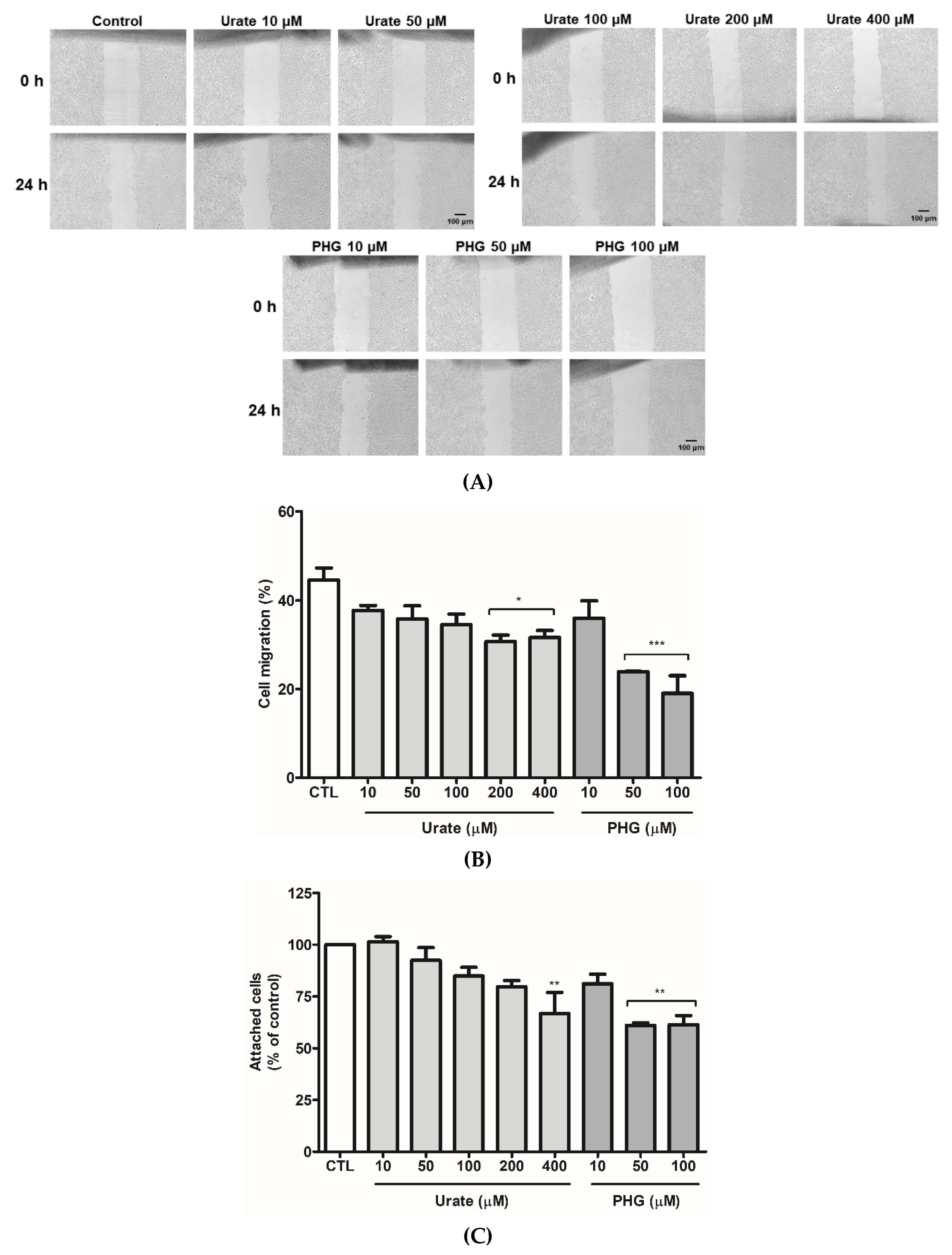 Antioxidants 11 01117 g006a