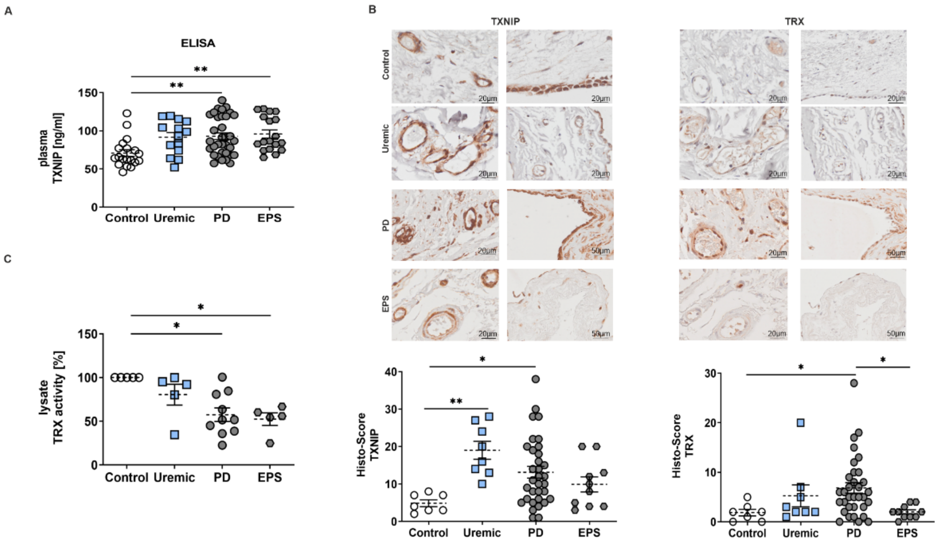 Antioxidants 11 01124 g001