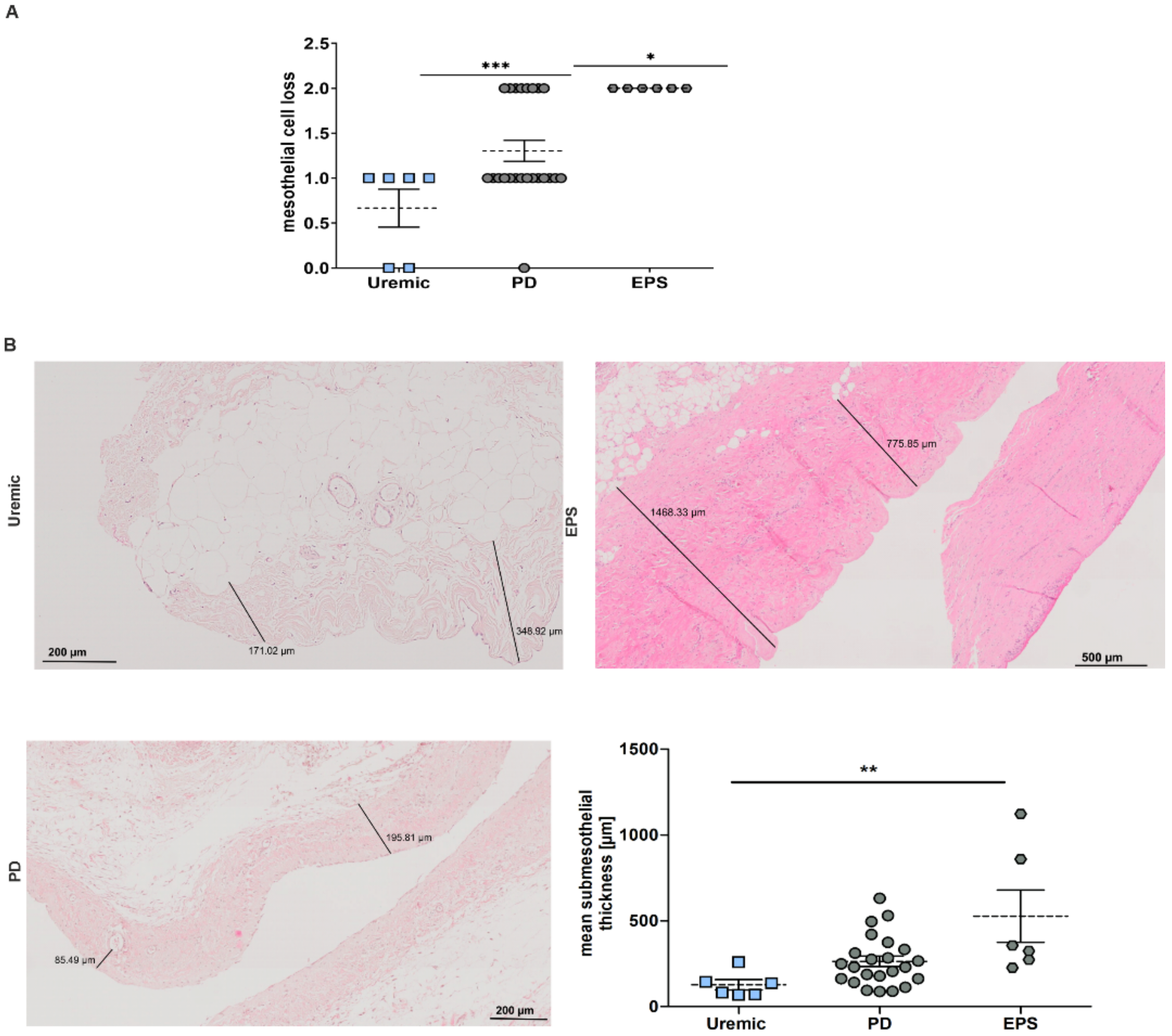 Antioxidants 11 01124 g002