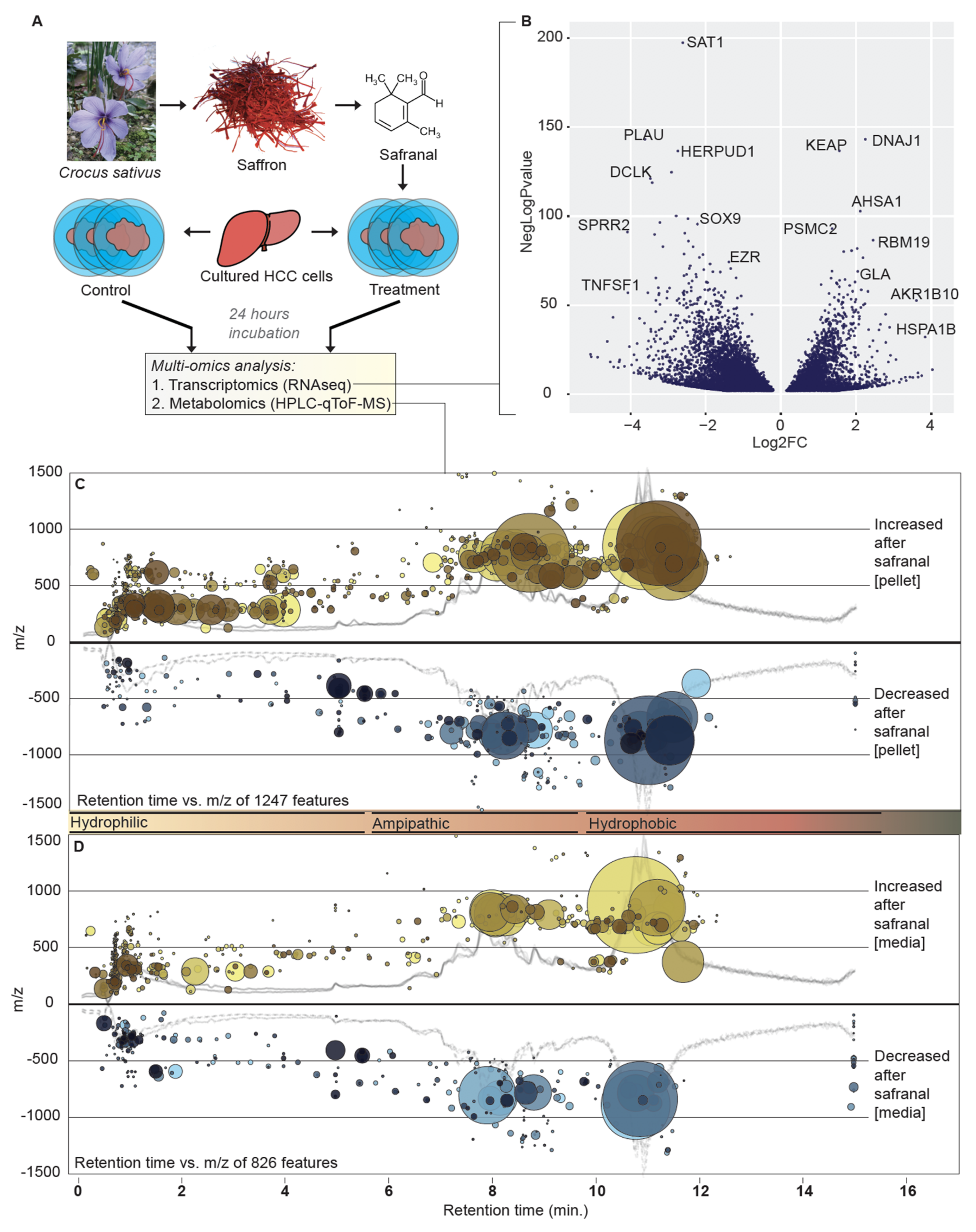 Antioxidants 11 01125 g001