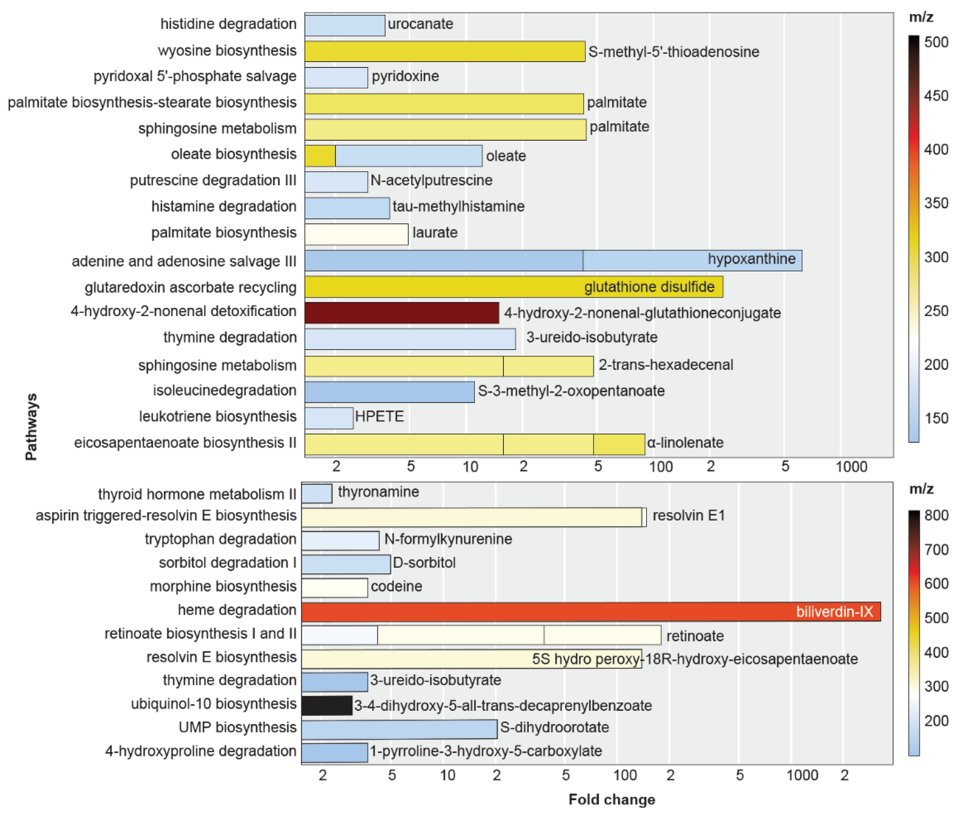 Antioxidants 11 01125 g002