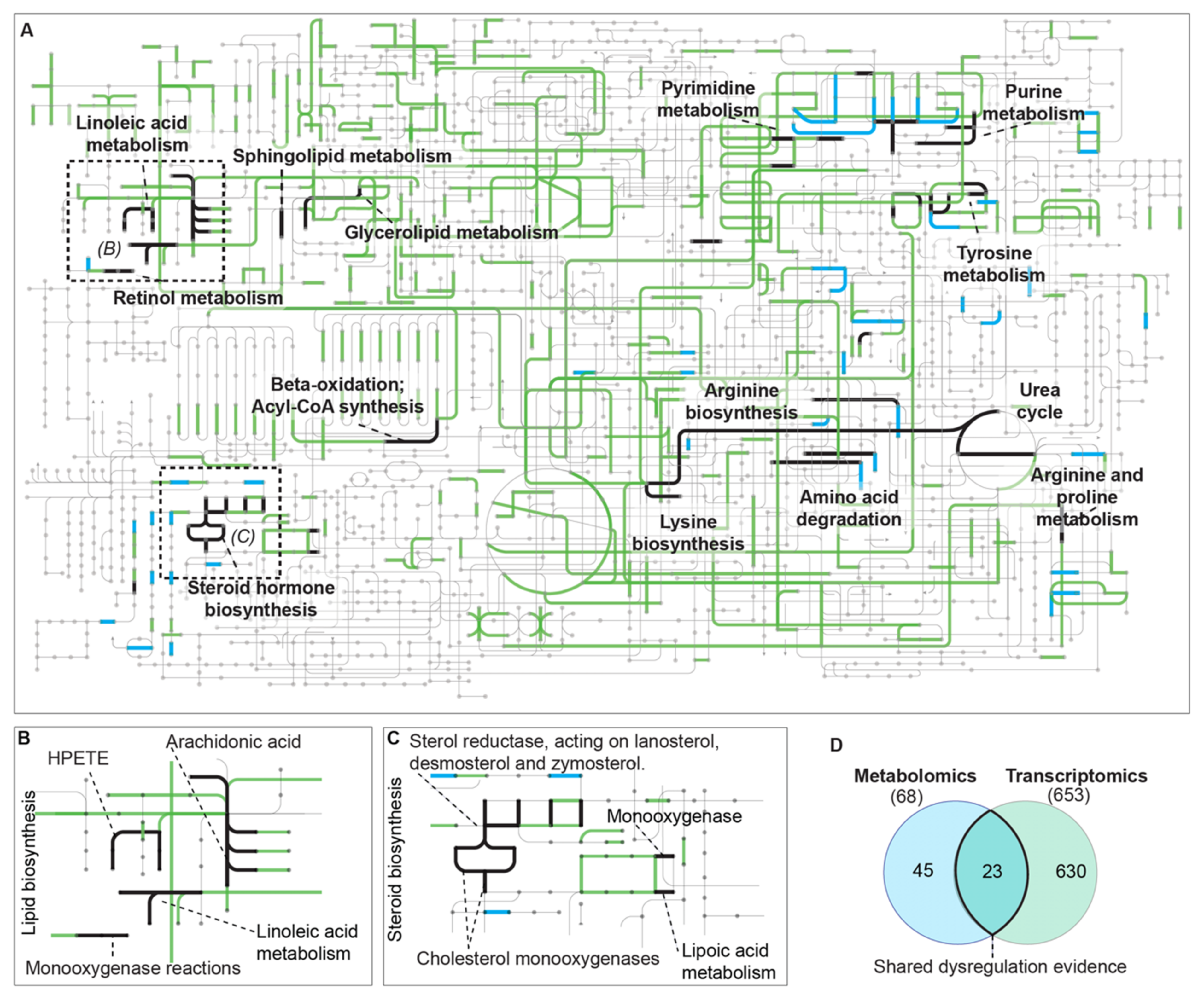 Antioxidants 11 01125 g003