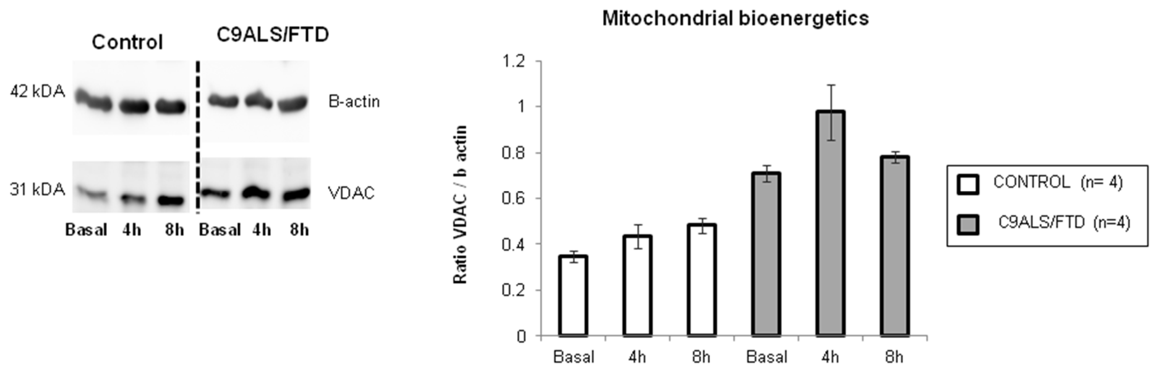 Antioxidants 11 01129 g004