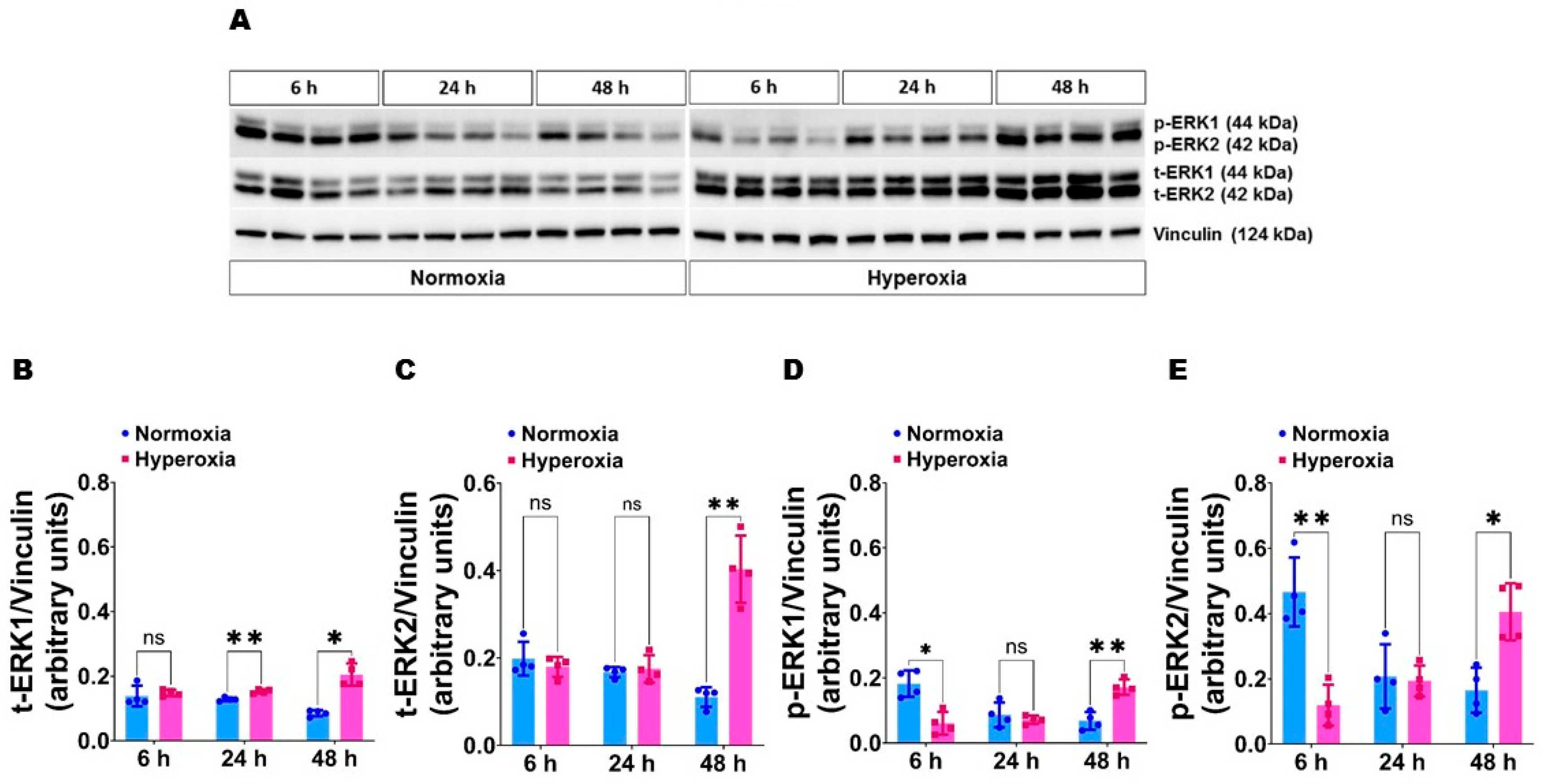 Antioxidants 11 01130 g001