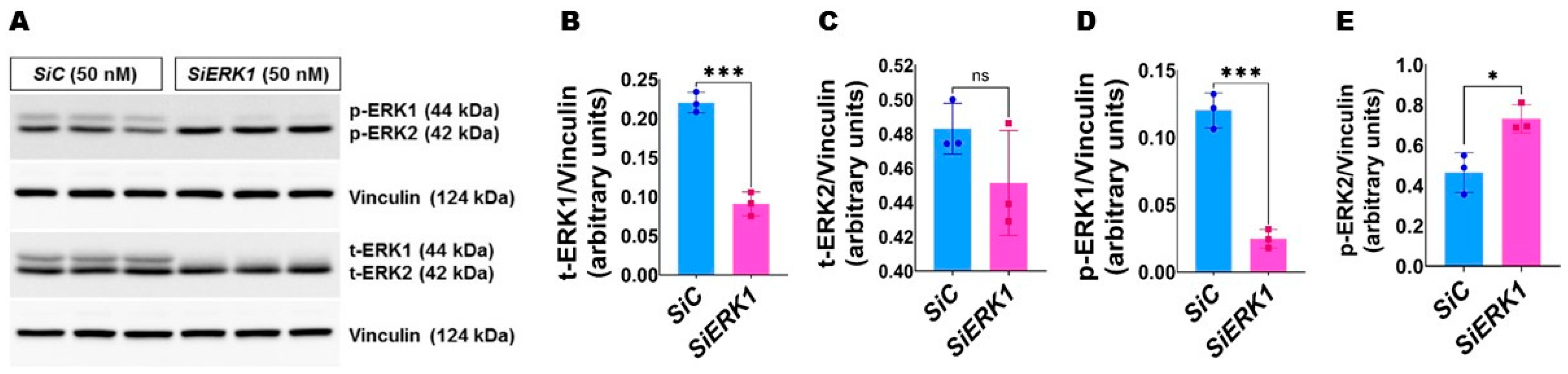 Antioxidants 11 01130 g002