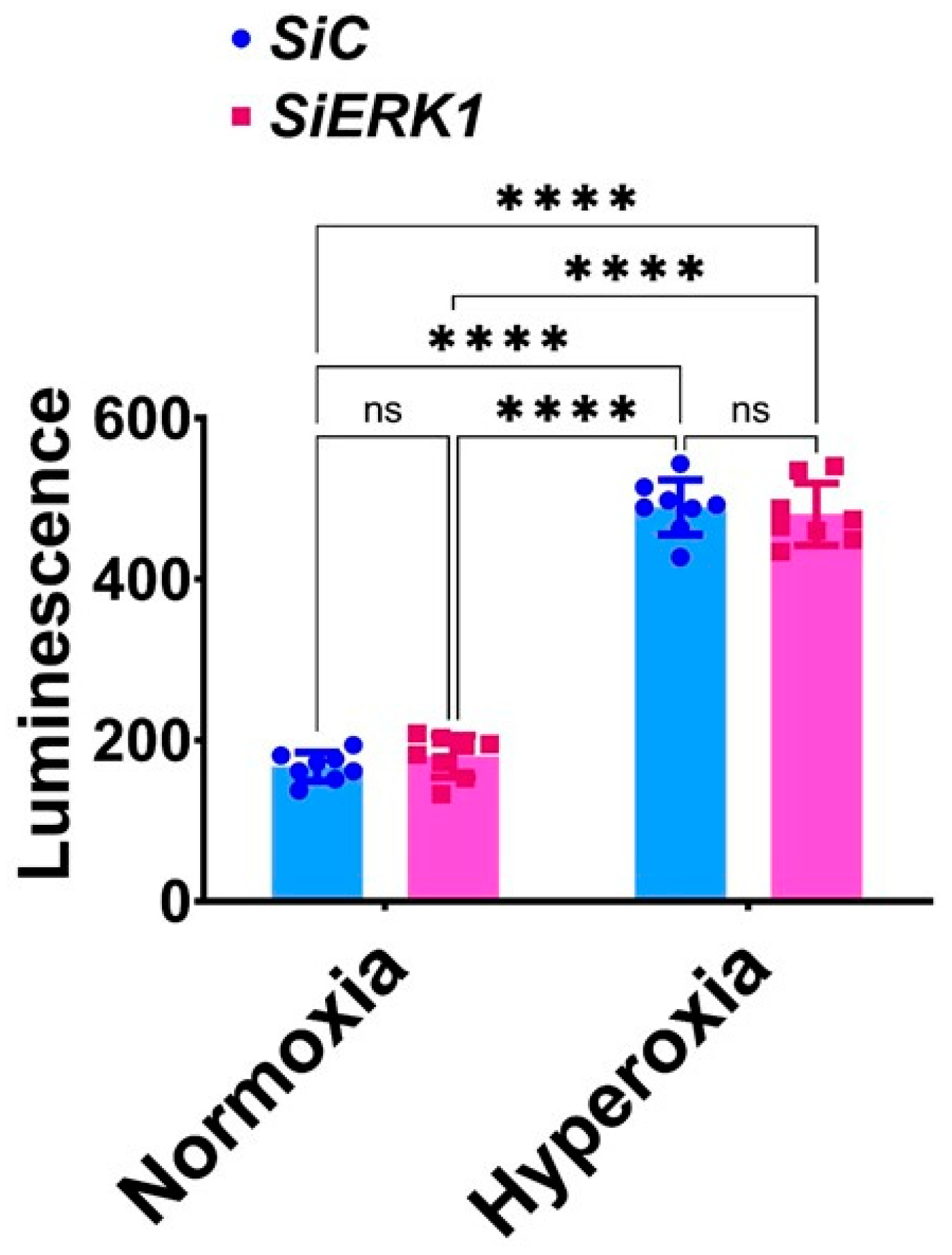Antioxidants 11 01130 g004