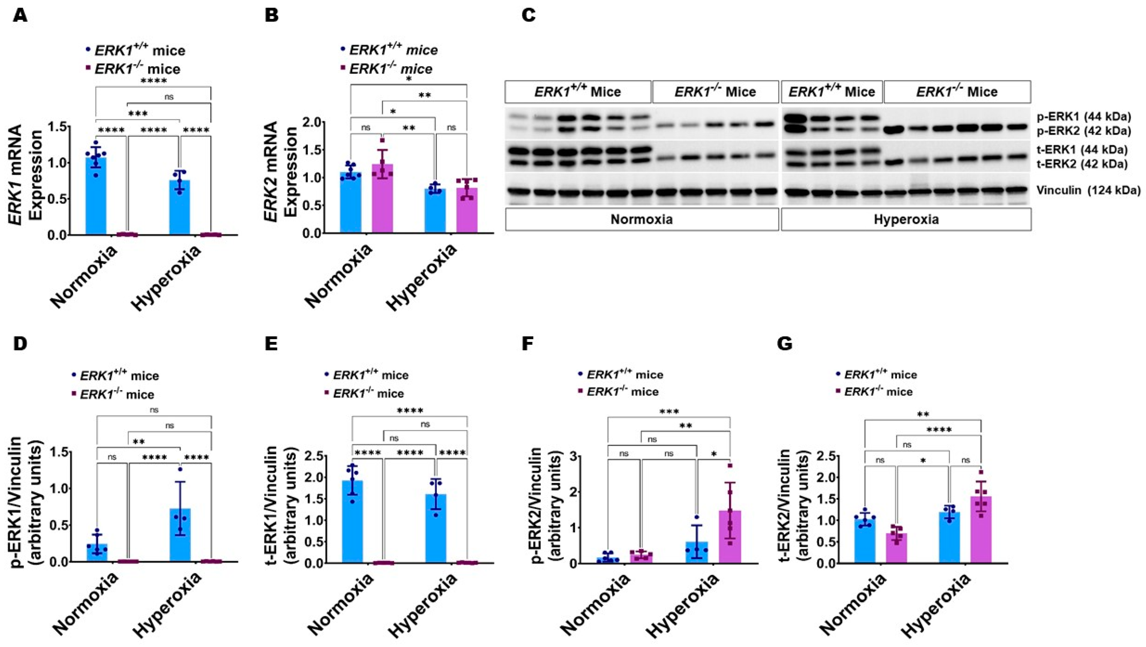 Antioxidants 11 01130 g005