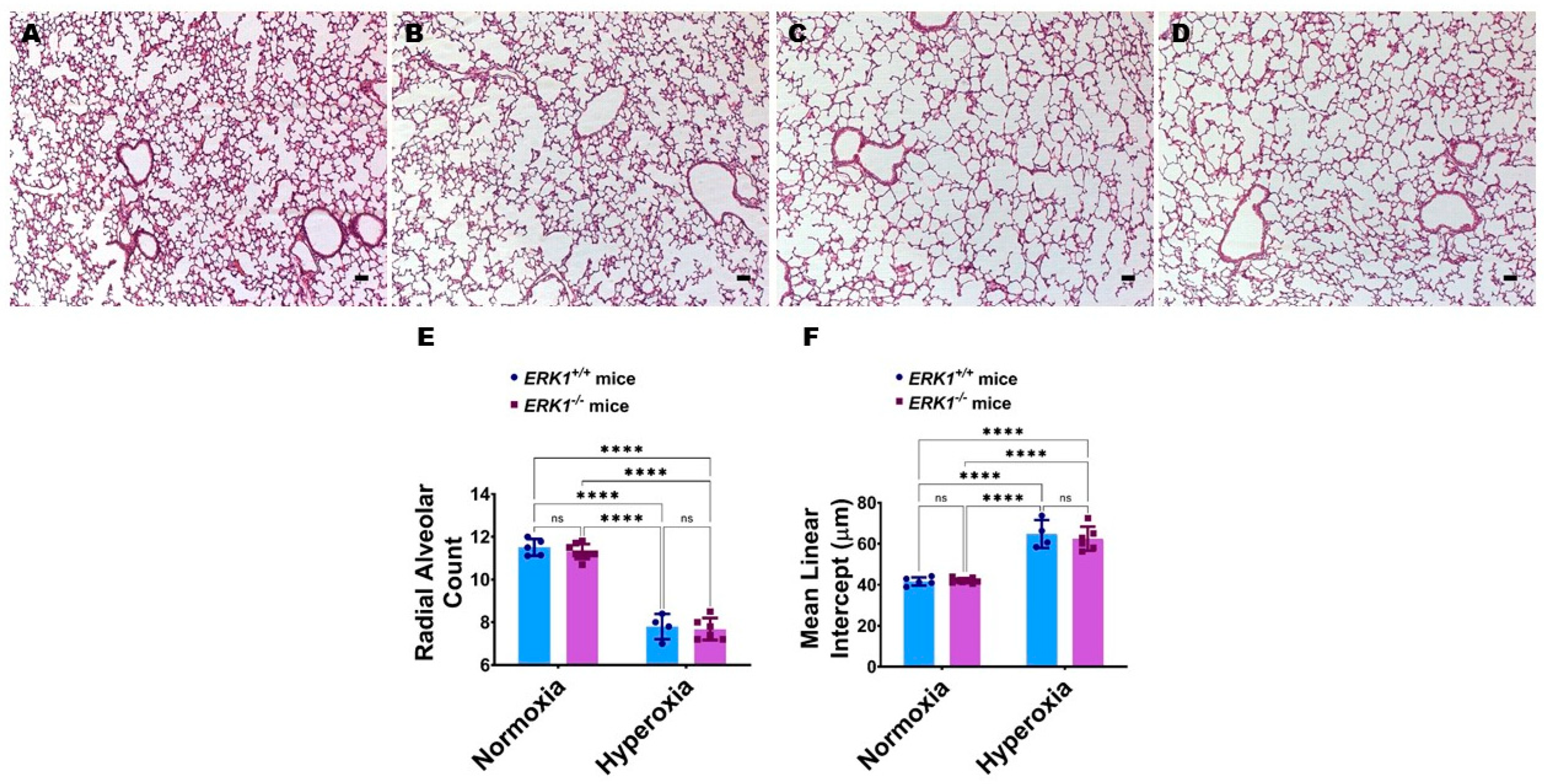 Antioxidants 11 01130 g006