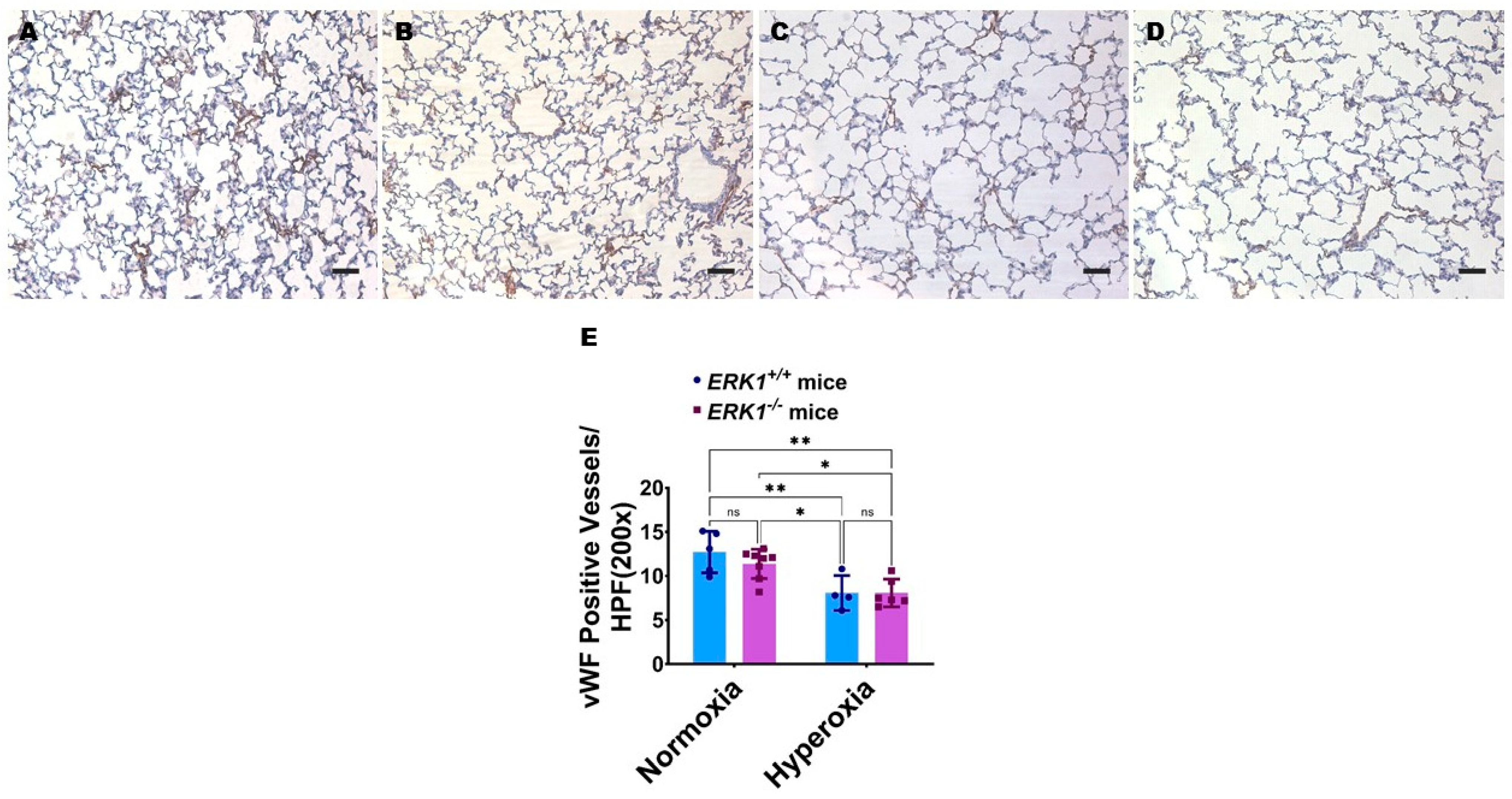 Antioxidants 11 01130 g007