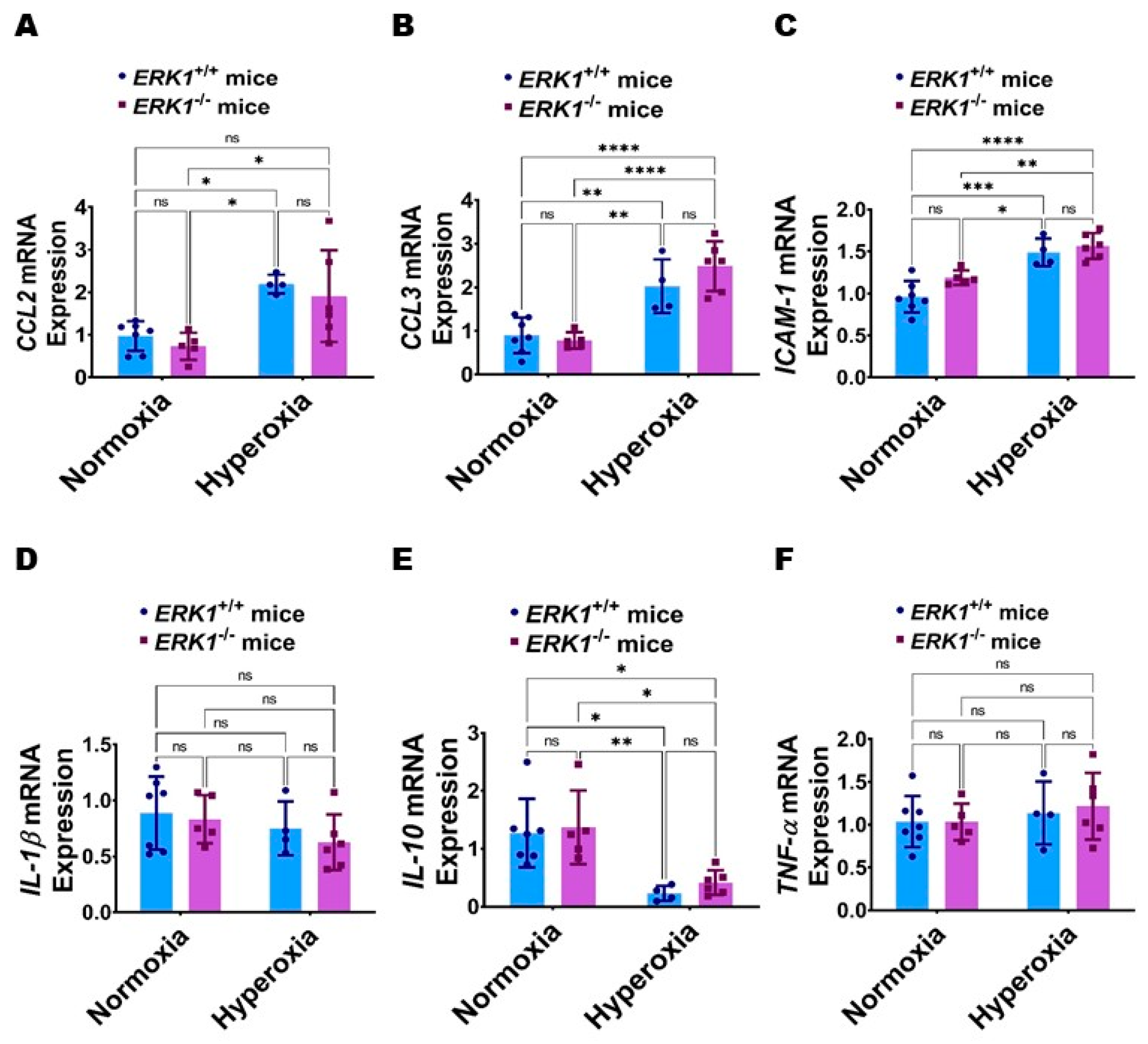 Antioxidants 11 01130 g008