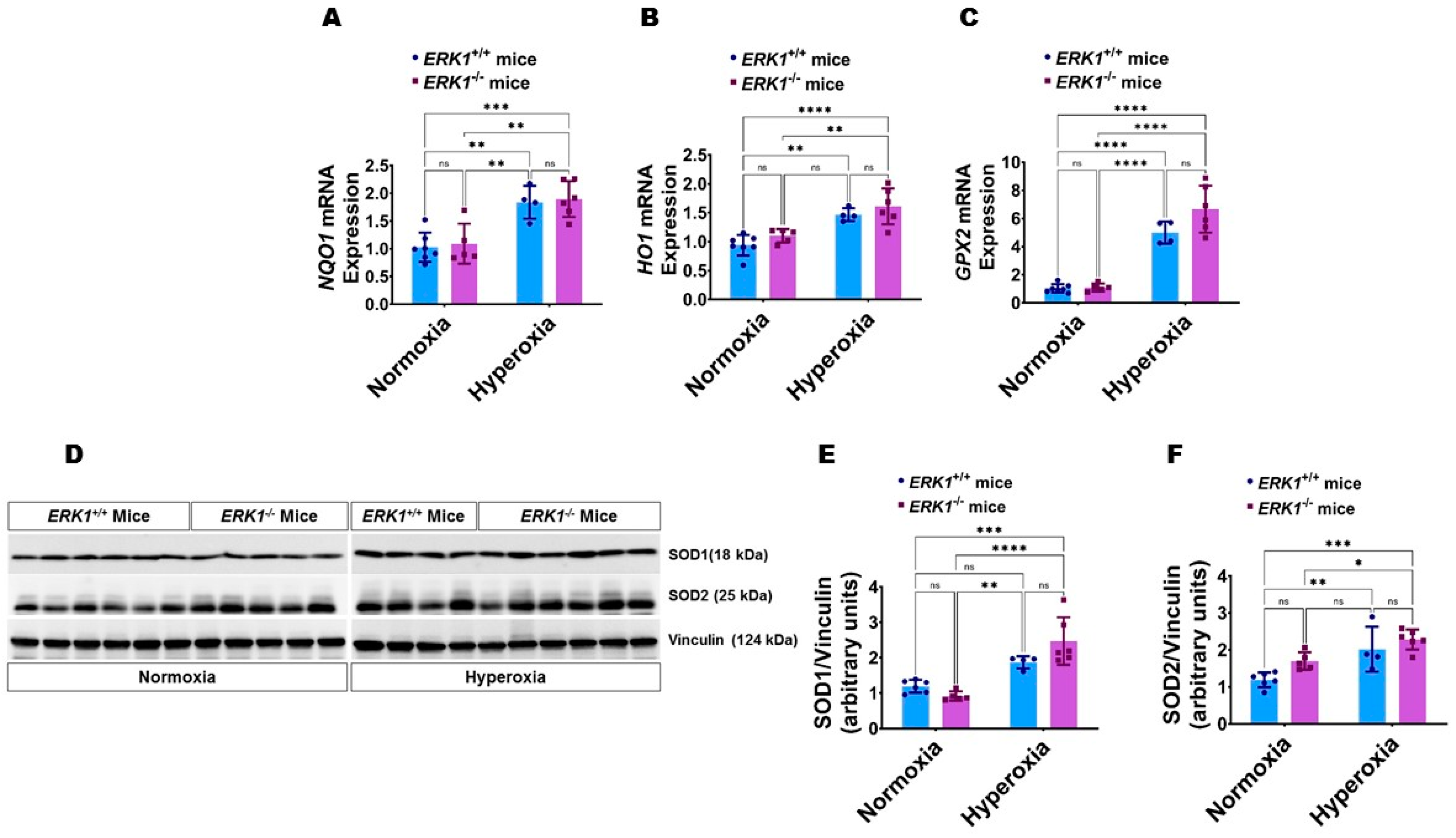 Antioxidants 11 01130 g009