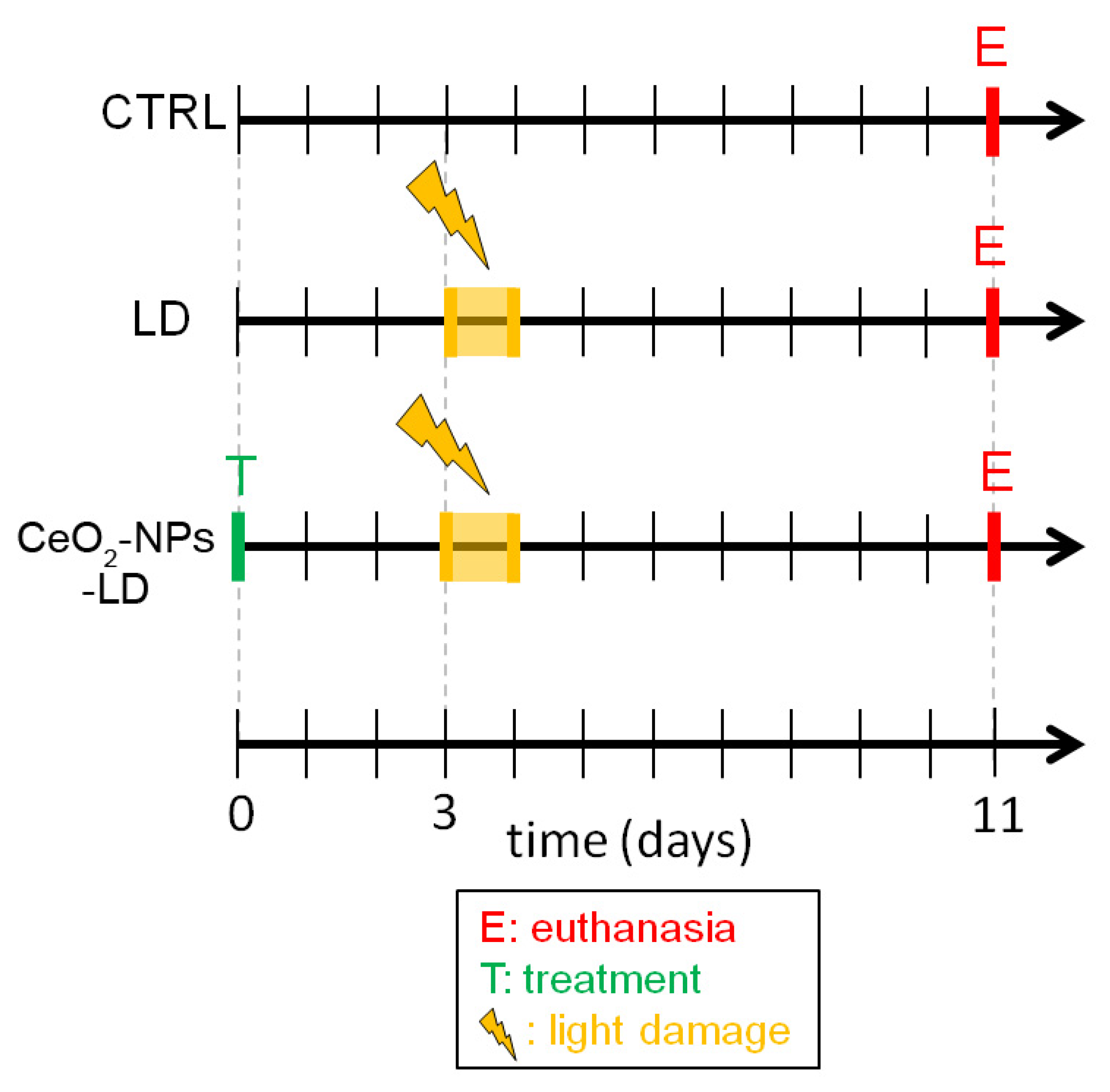 Antioxidants 11 01133 g001