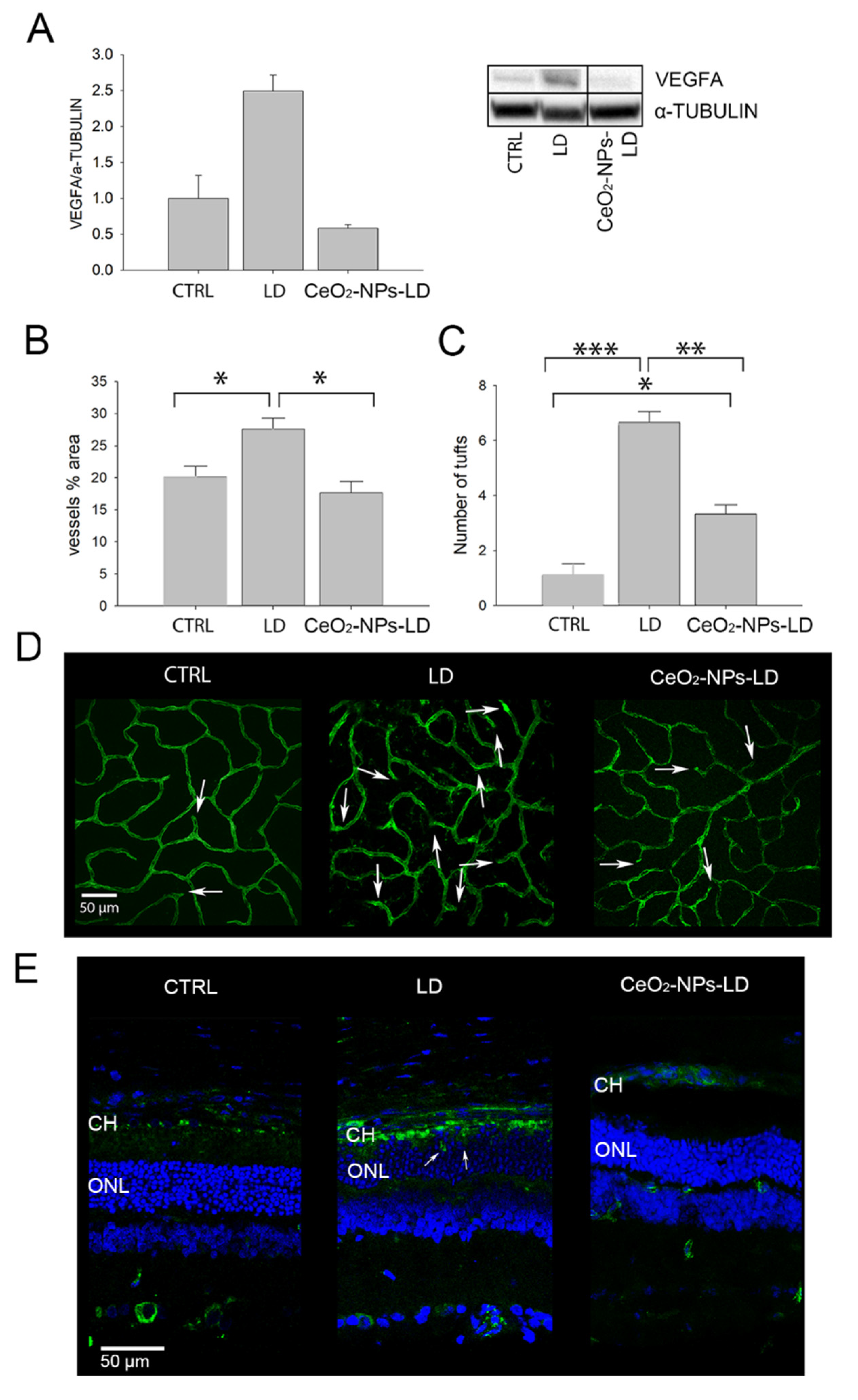 Antioxidants 11 01133 g003
