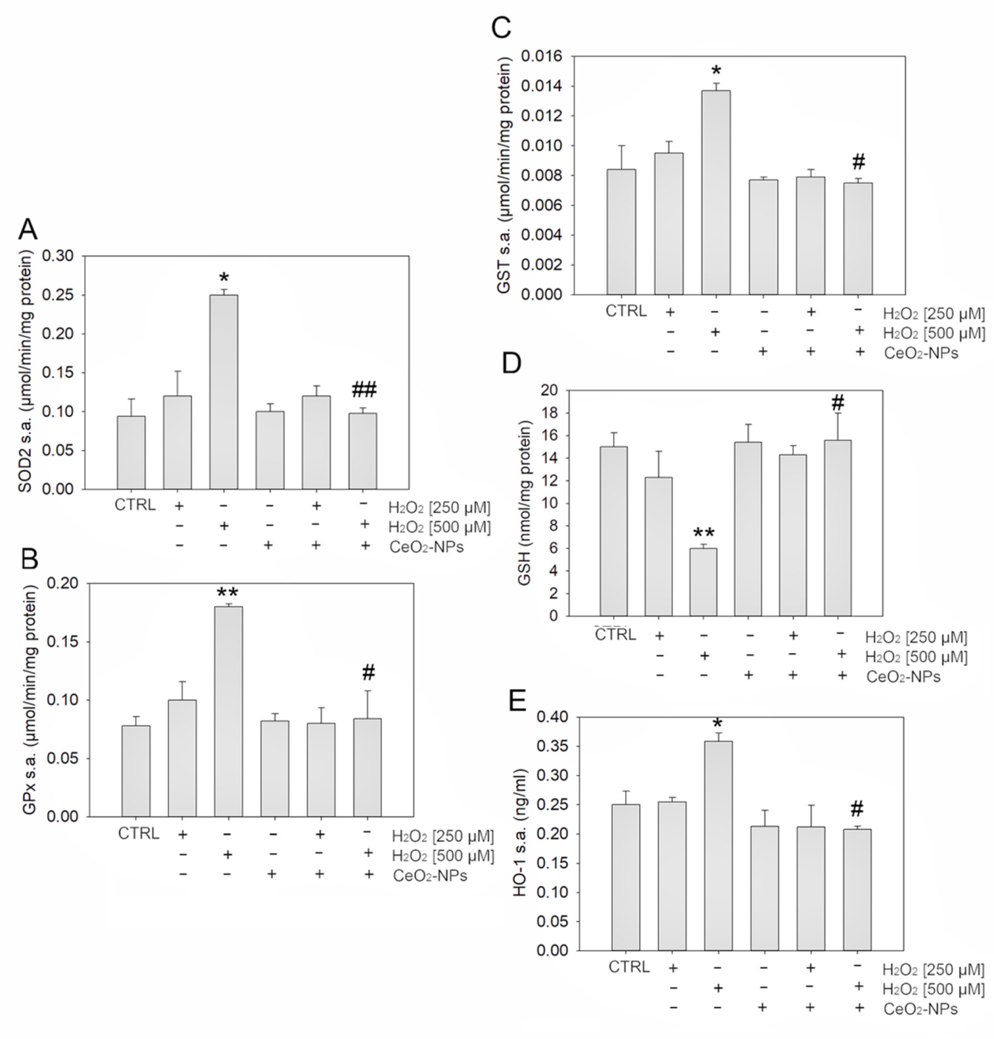 Antioxidants 11 01133 g004