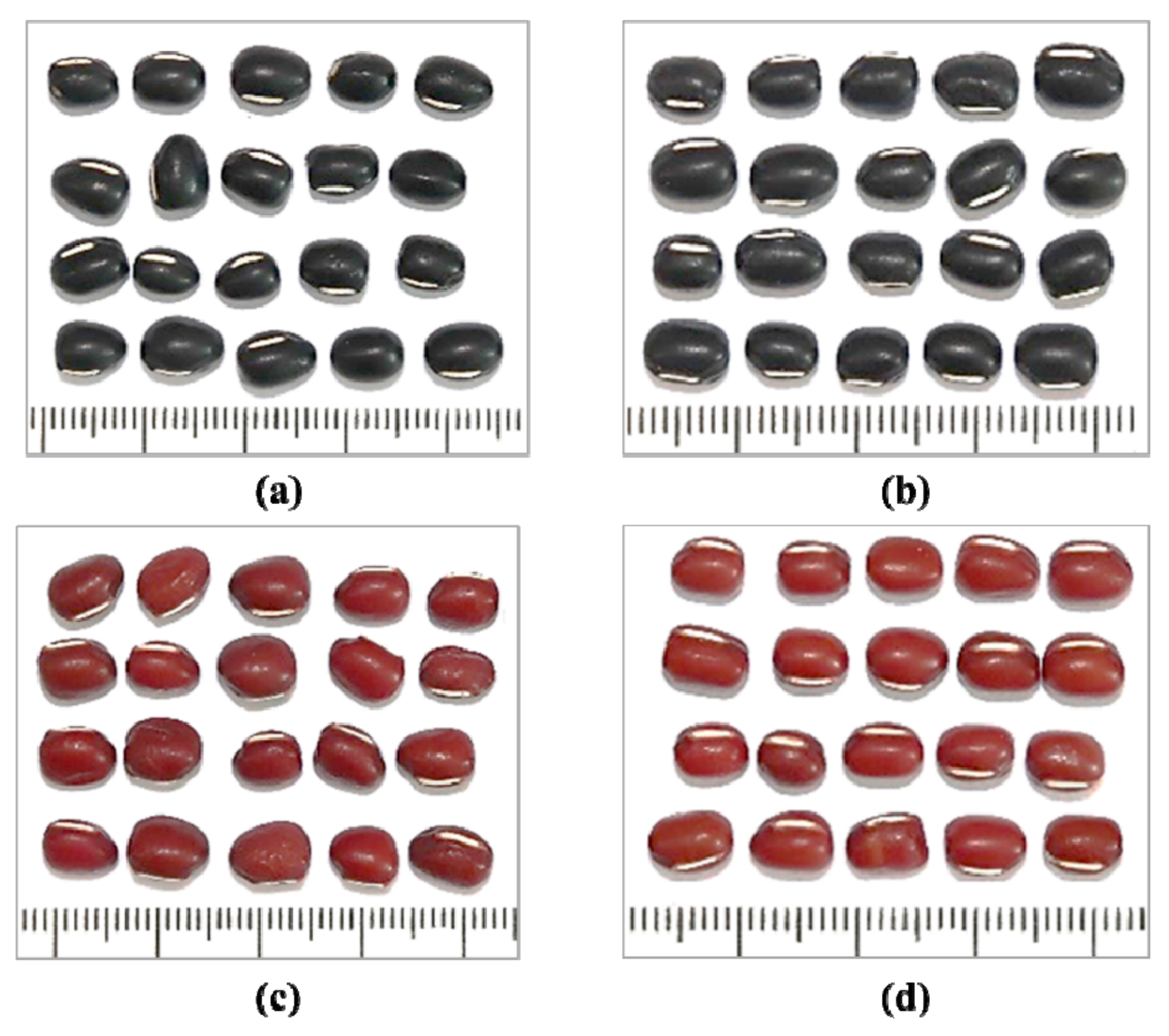 Antioxidants 11 01134 g001 Antioxidants 11 01134 g001