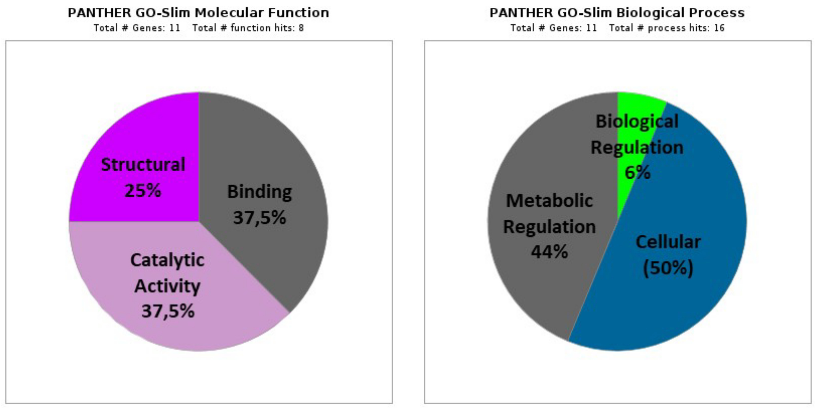 Antioxidants 11 01135 g001