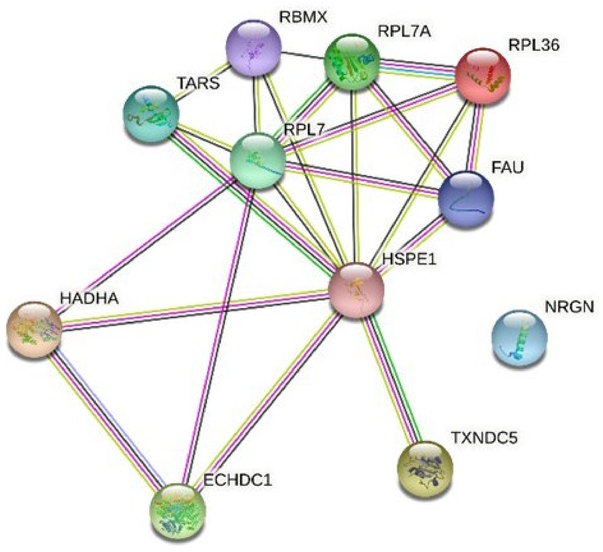 Antioxidants 11 01135 g002