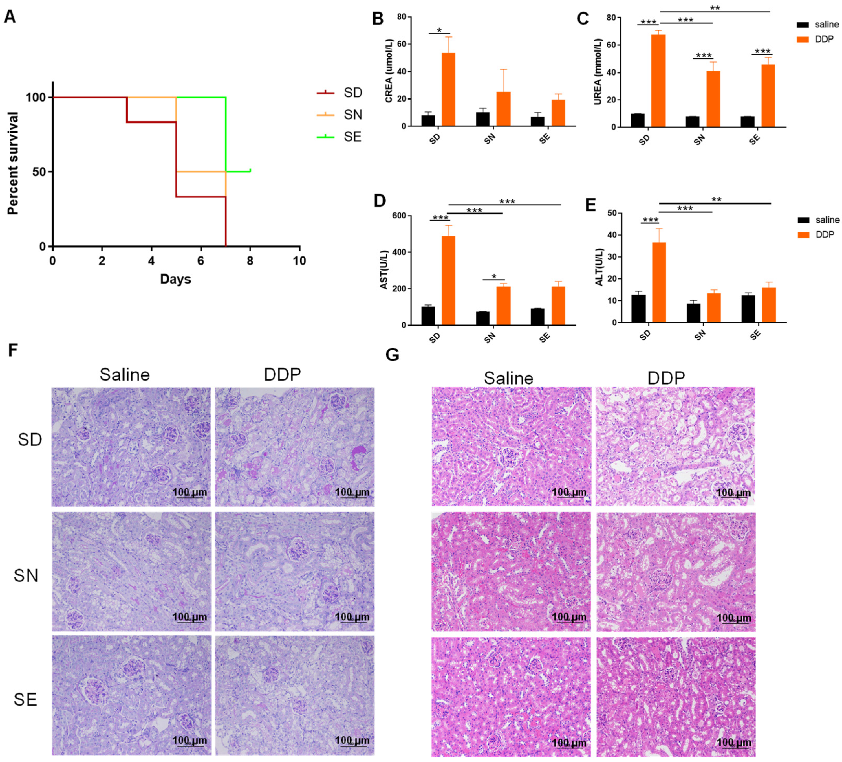 Antioxidants 11 01141 g002