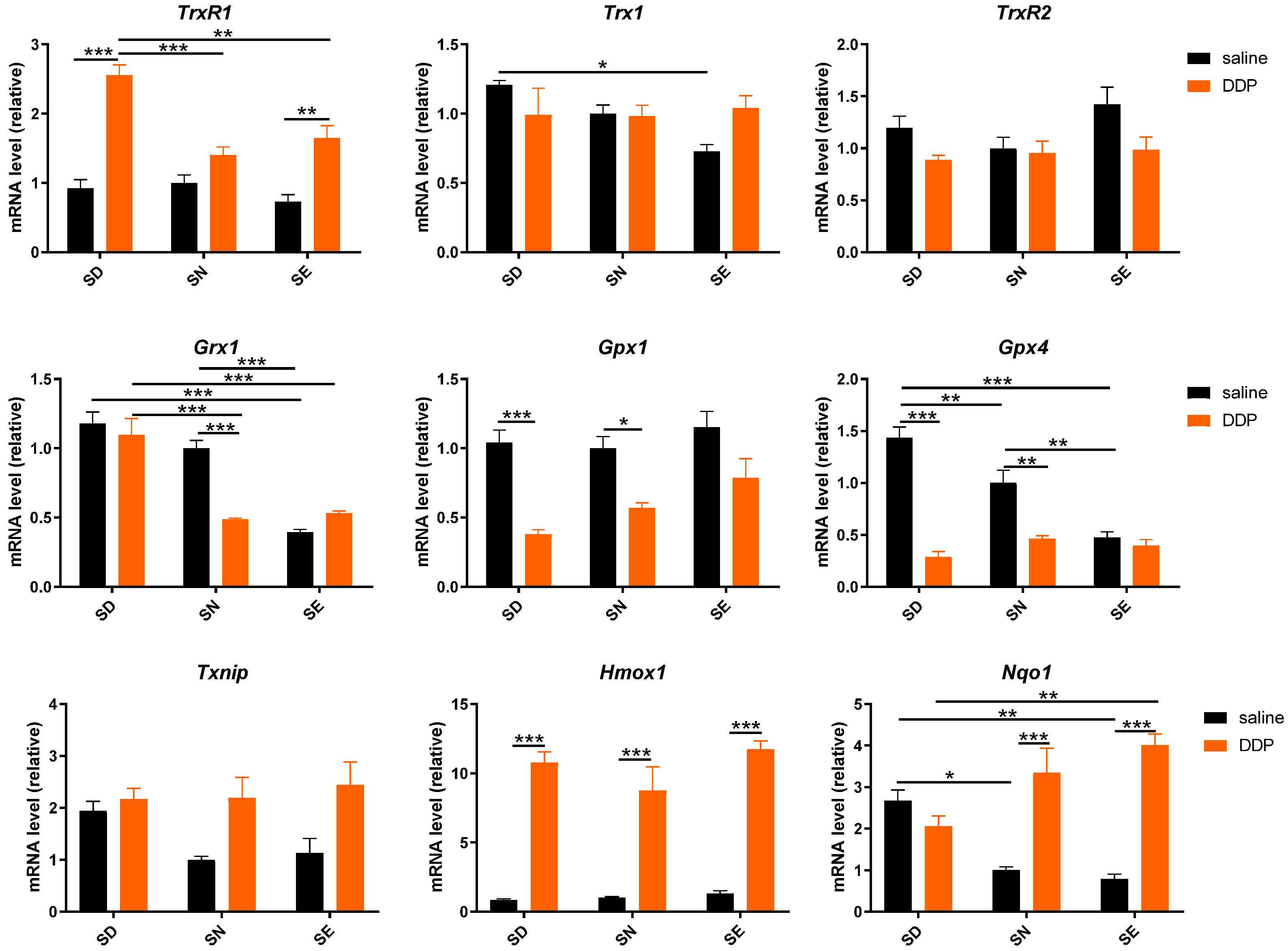 Antioxidants 11 01141 g005