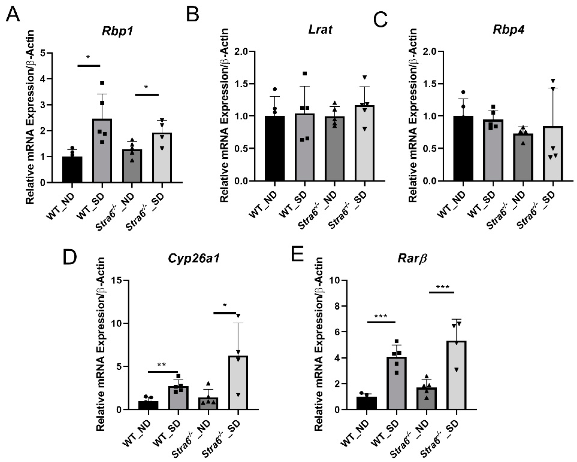 Antioxidants 11 01142 g005