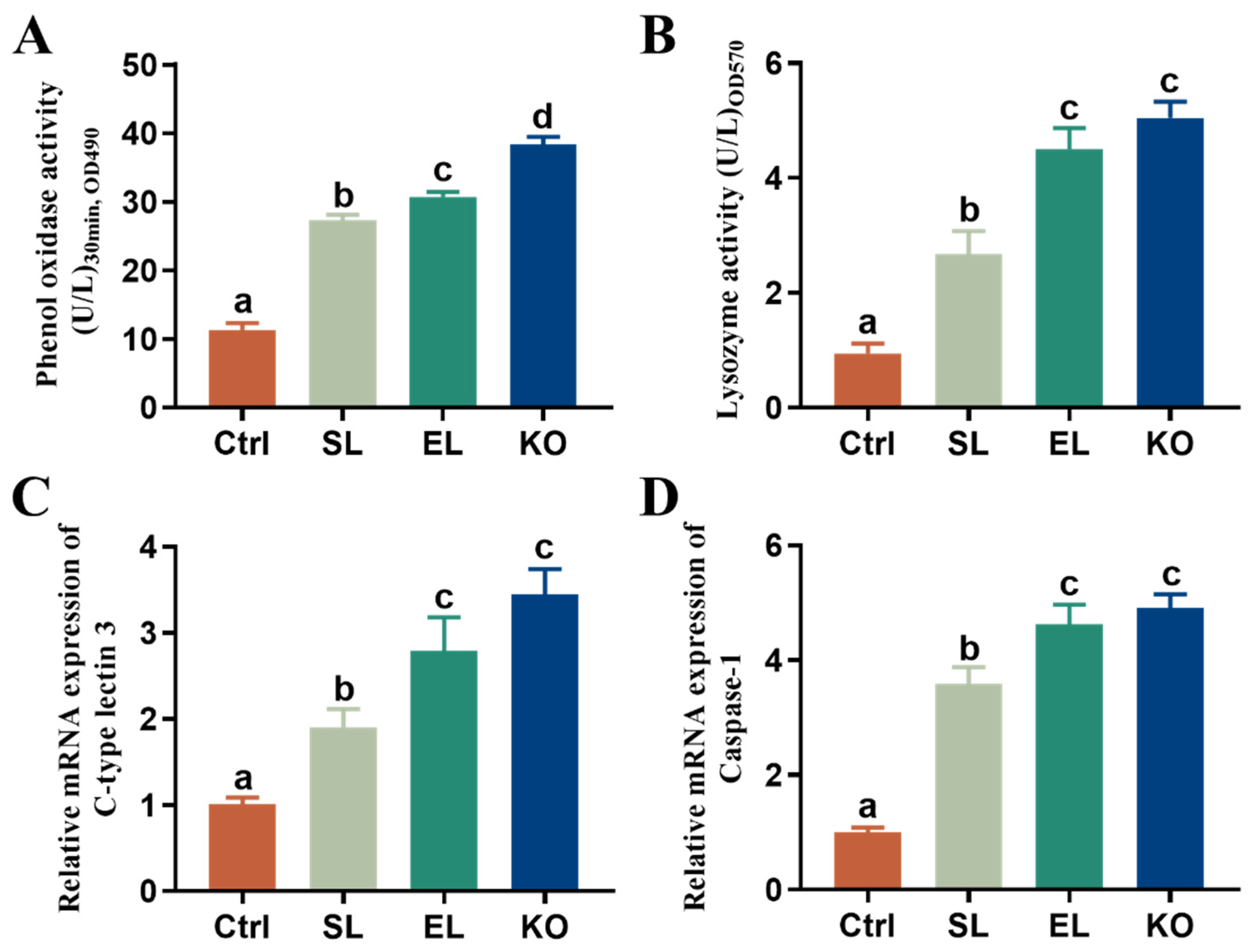 Antioxidants 11 01143 g003
