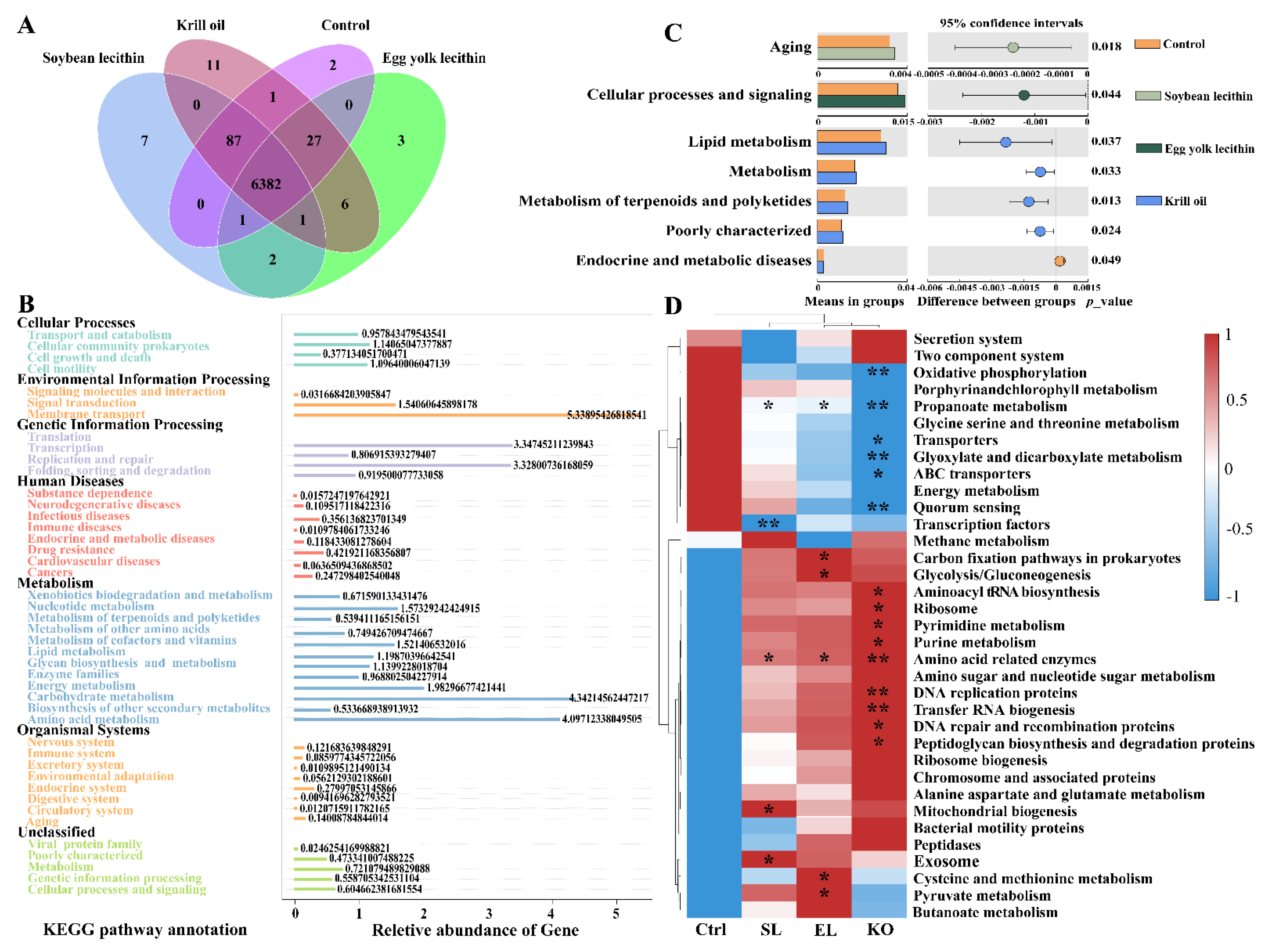 Antioxidants 11 01143 g008