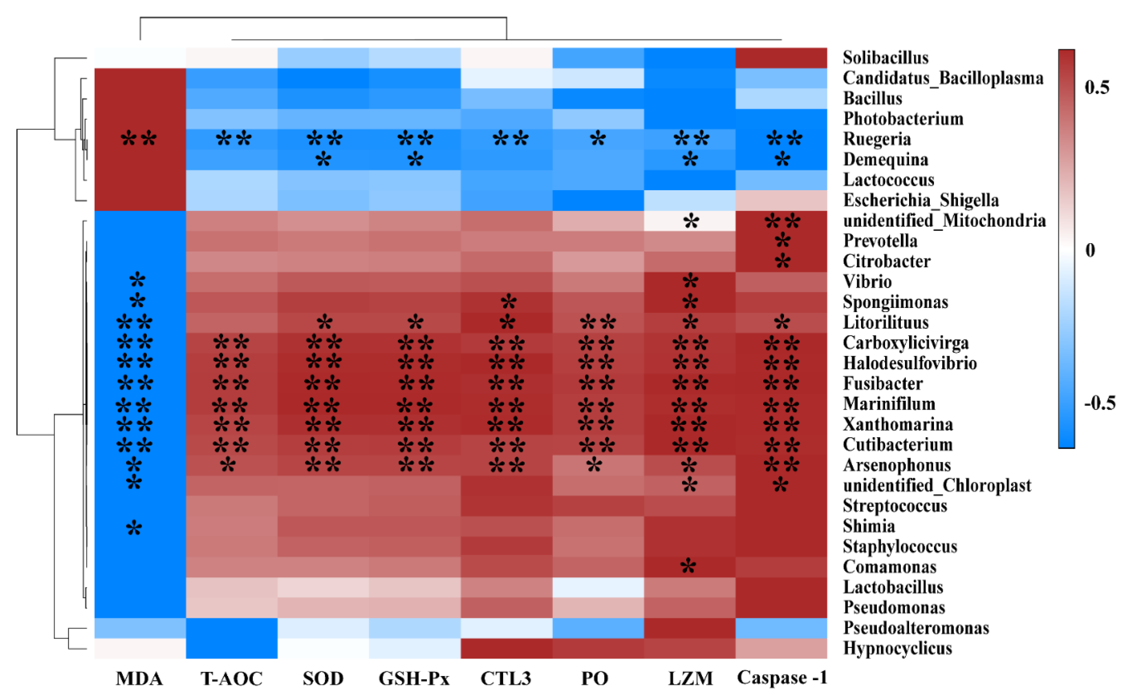 Antioxidants 11 01143 g010