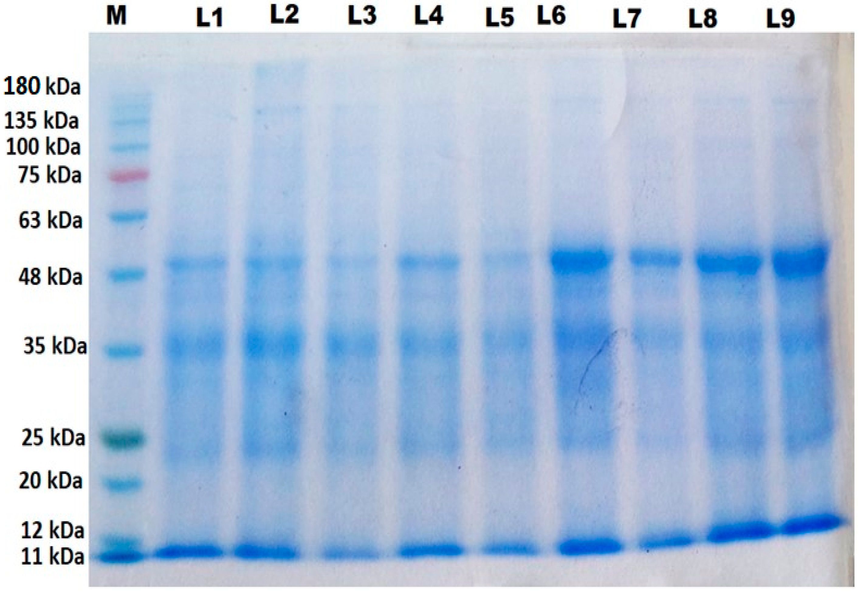 Antioxidants 11 01144 g005