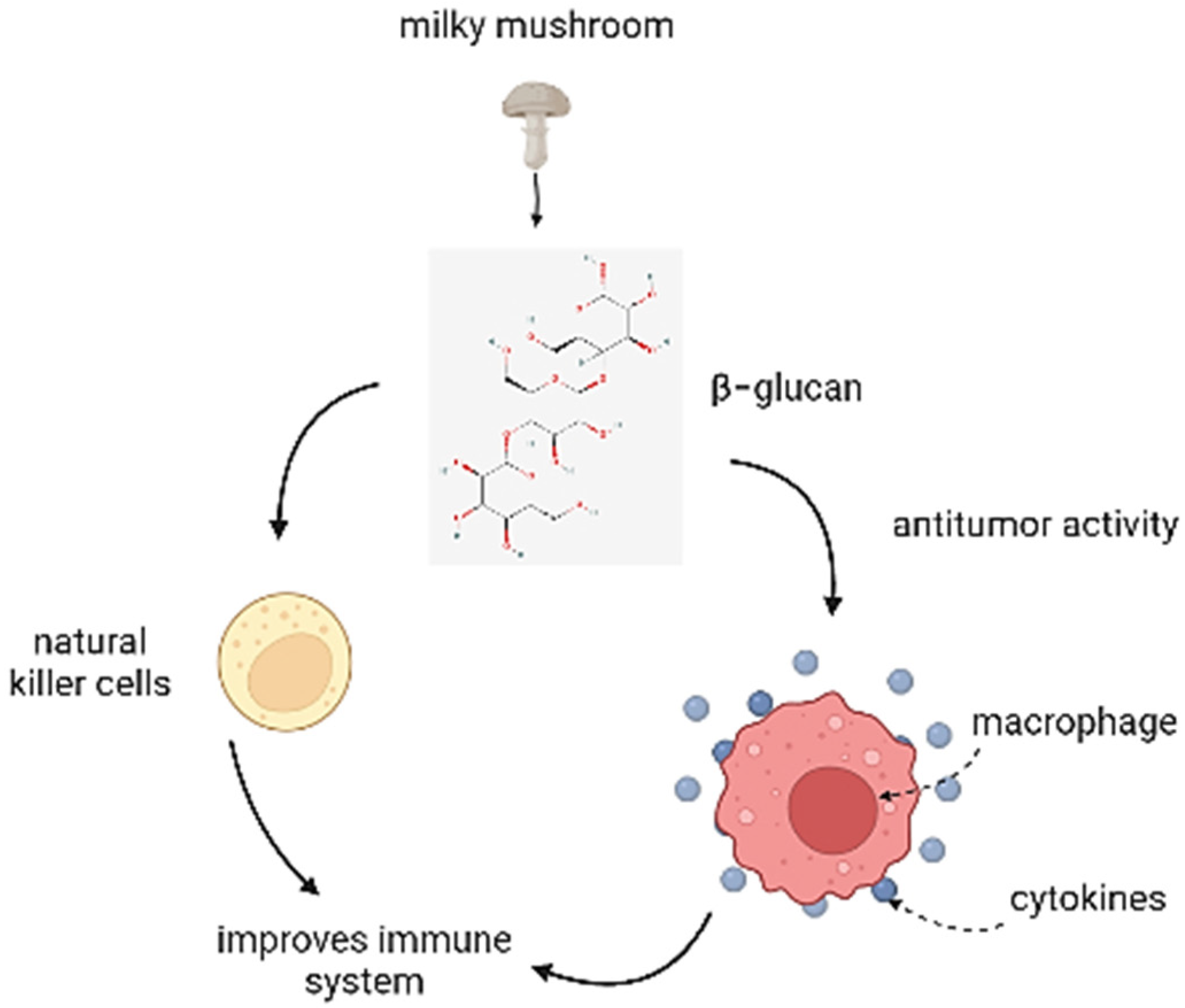 Antioxidants 11 01145 g005